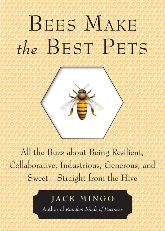 Beispielinhalt (Bild) Bees Make the Best Pets