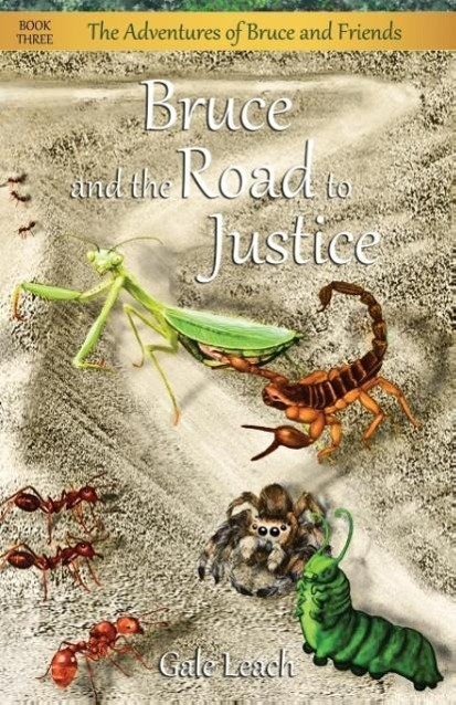 Vorderes Coverbild Bruce and the Road to Justice