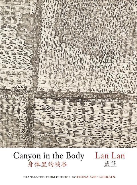 Vorderes Coverbild Canyon in the Body