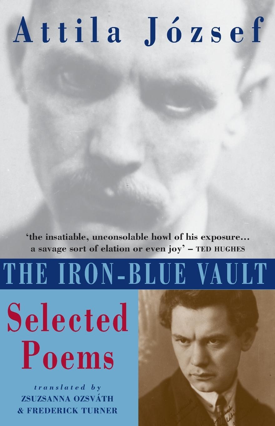 Vorderes Coverbild The Iron-Blue Vault
