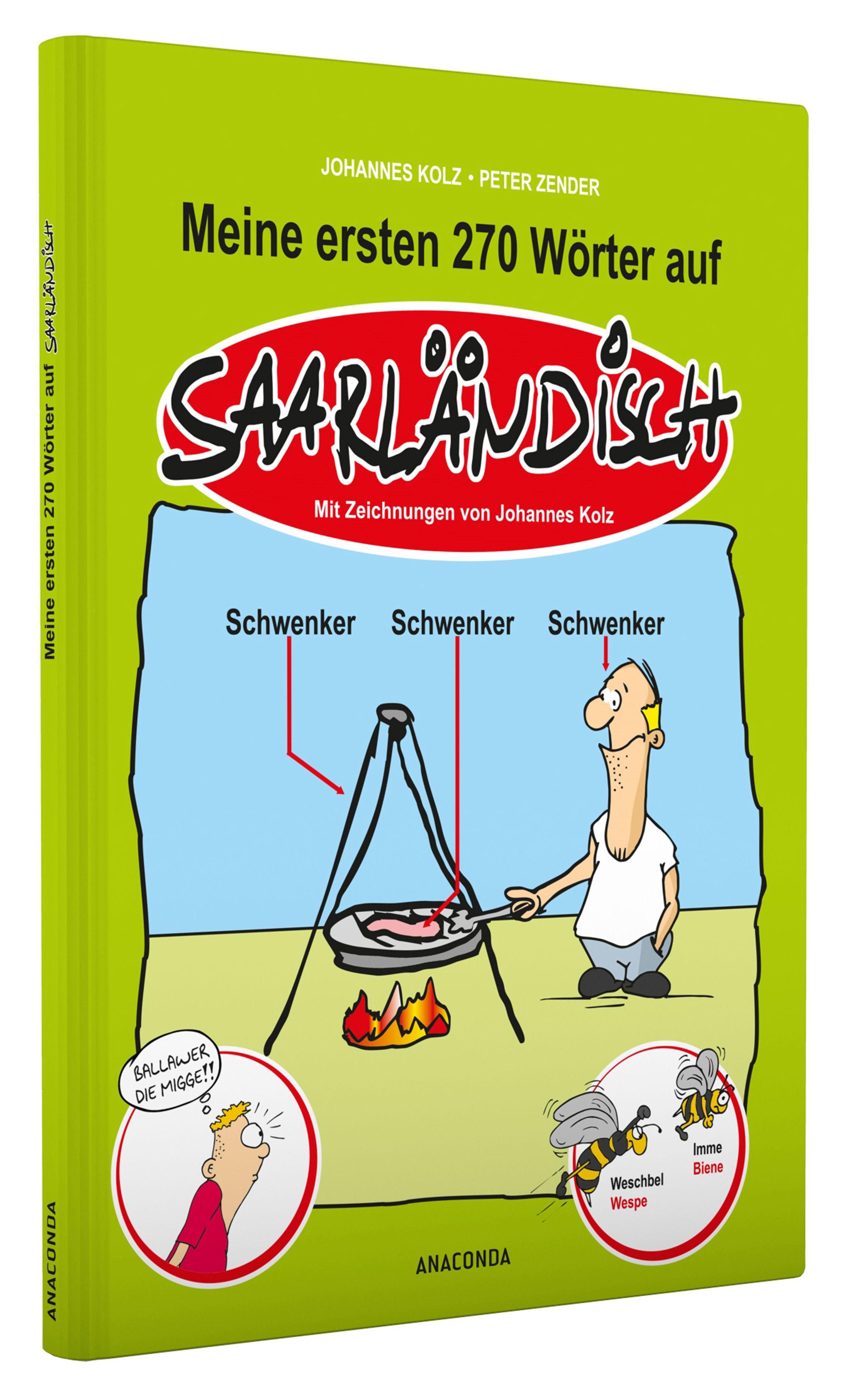 Beispielinhalt (Bild) Meine ersten 270 Wörter auf Saarländisch