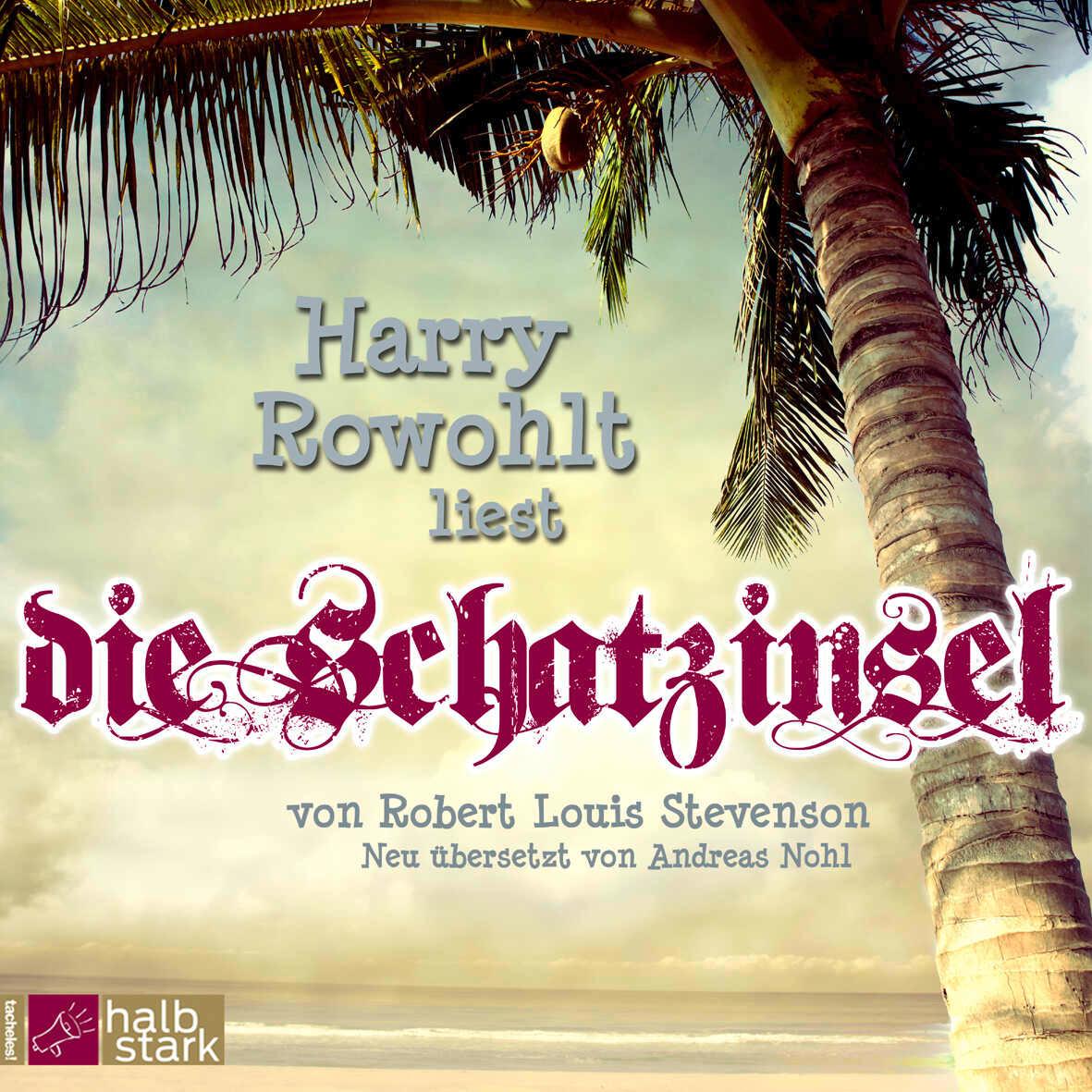 Vorderes Coverbild Die Schatzinsel