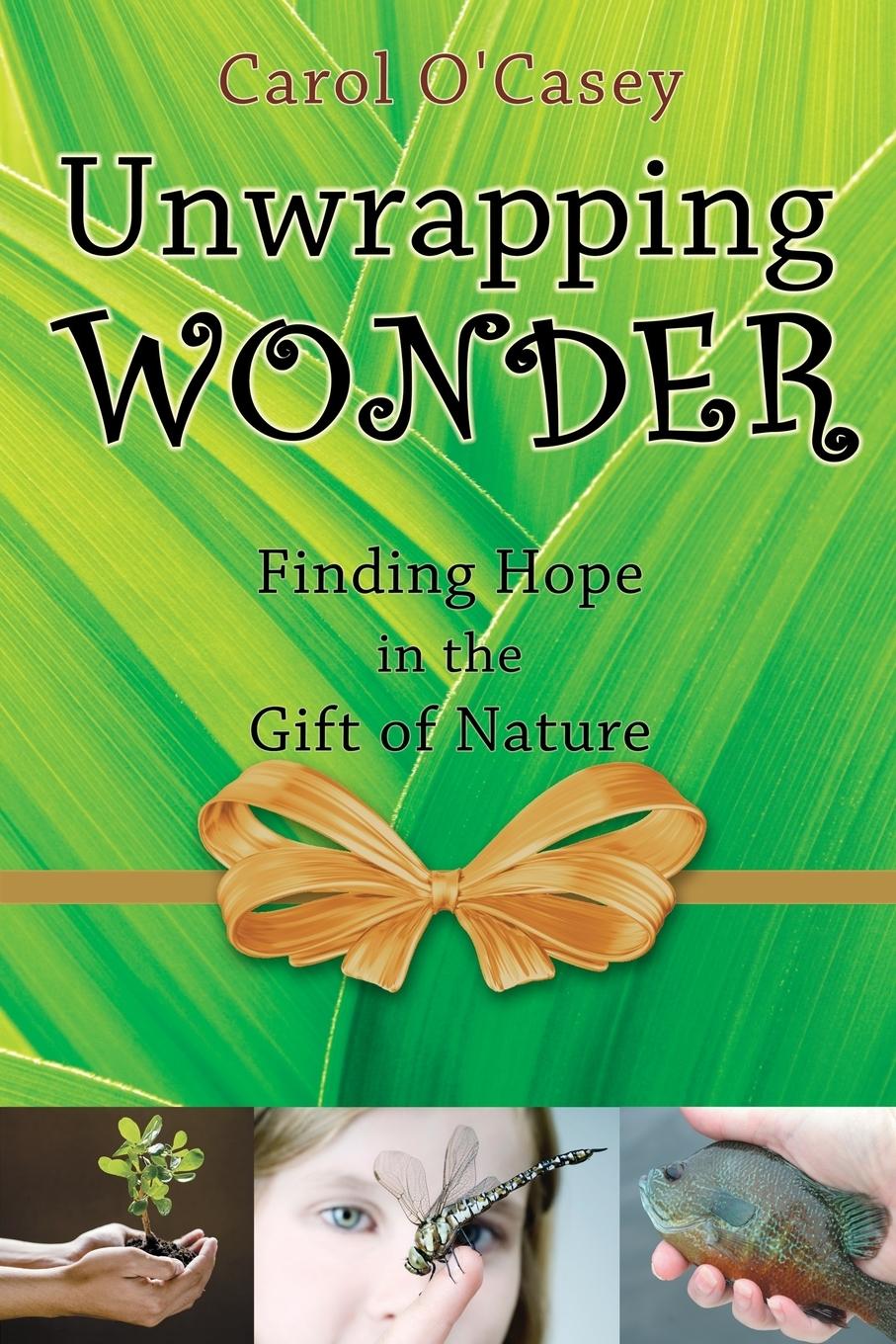 Vorderes Coverbild Unwrapping Wonder