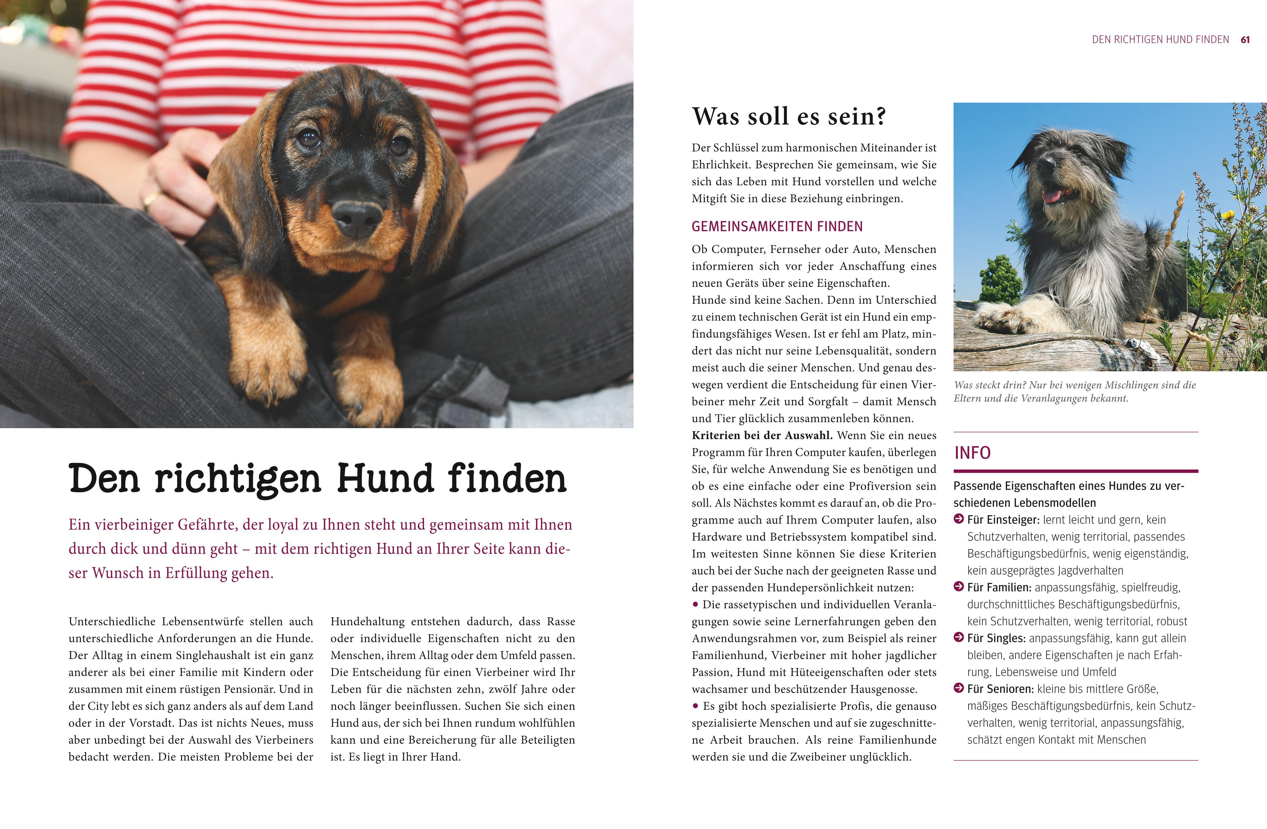 Beispielinhalt (Bild) Praxishandbuch Hunde