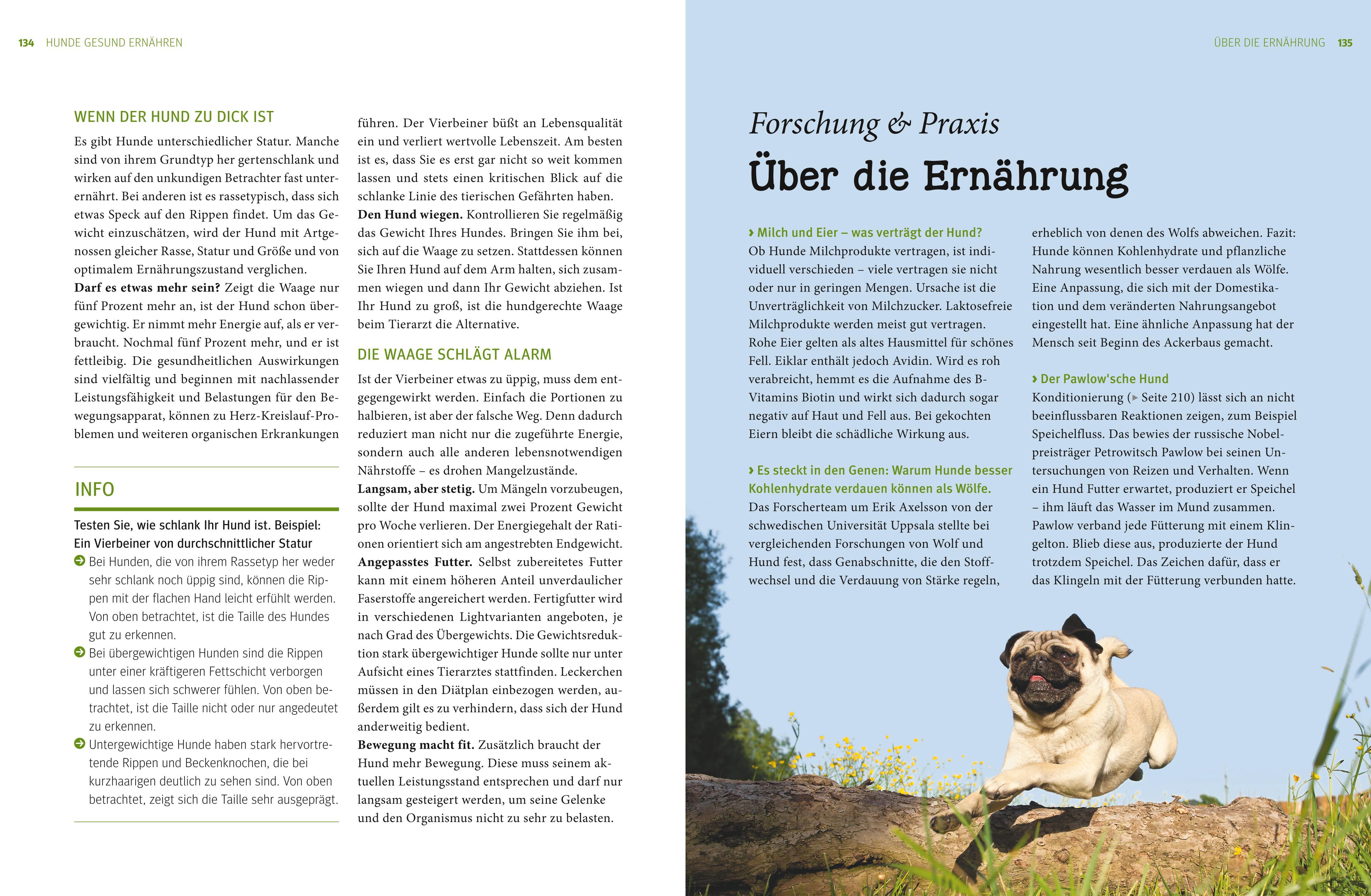Beispielinhalt (Bild) Praxishandbuch Hunde