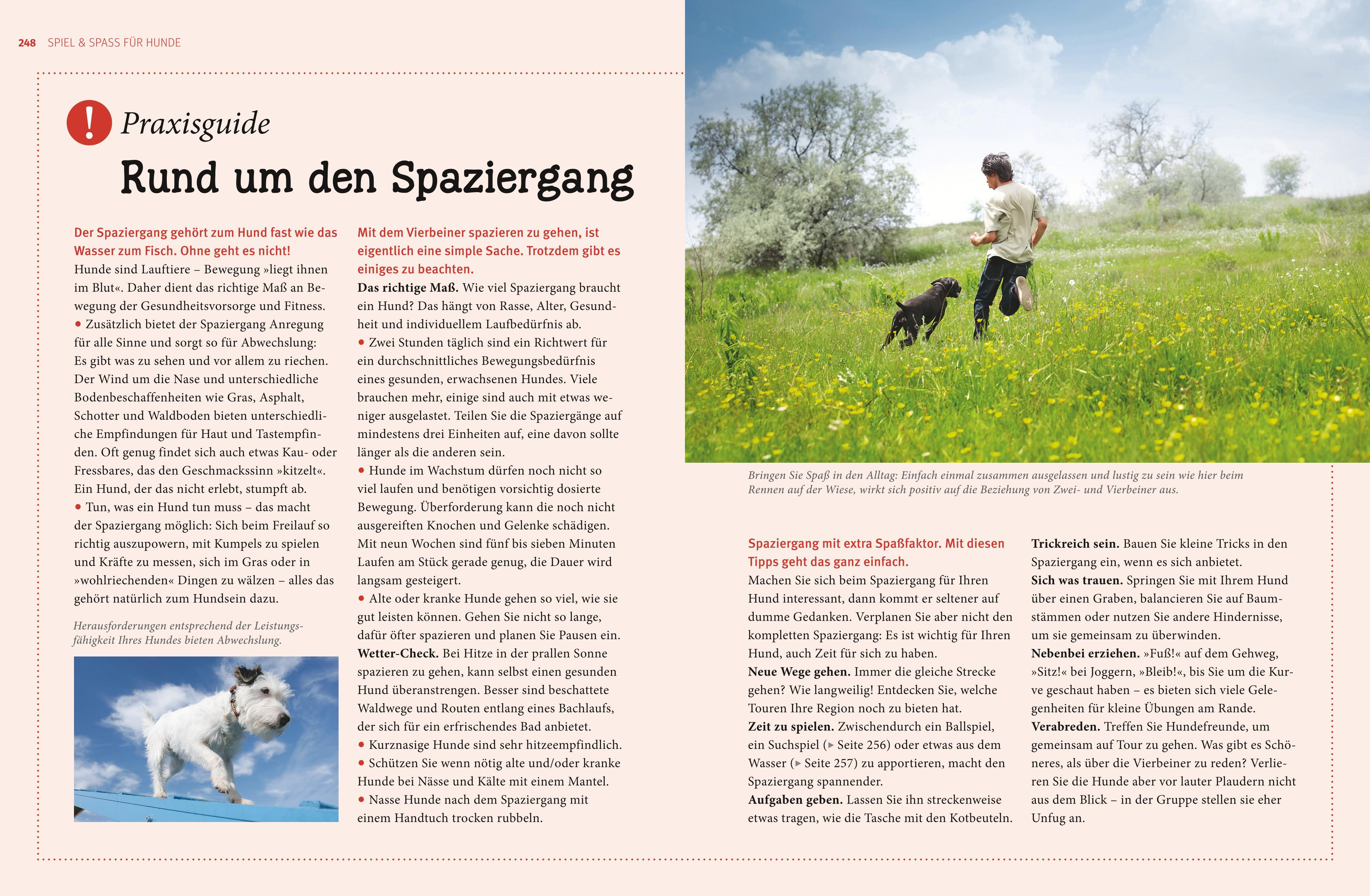 Beispielinhalt (Bild) Praxishandbuch Hunde