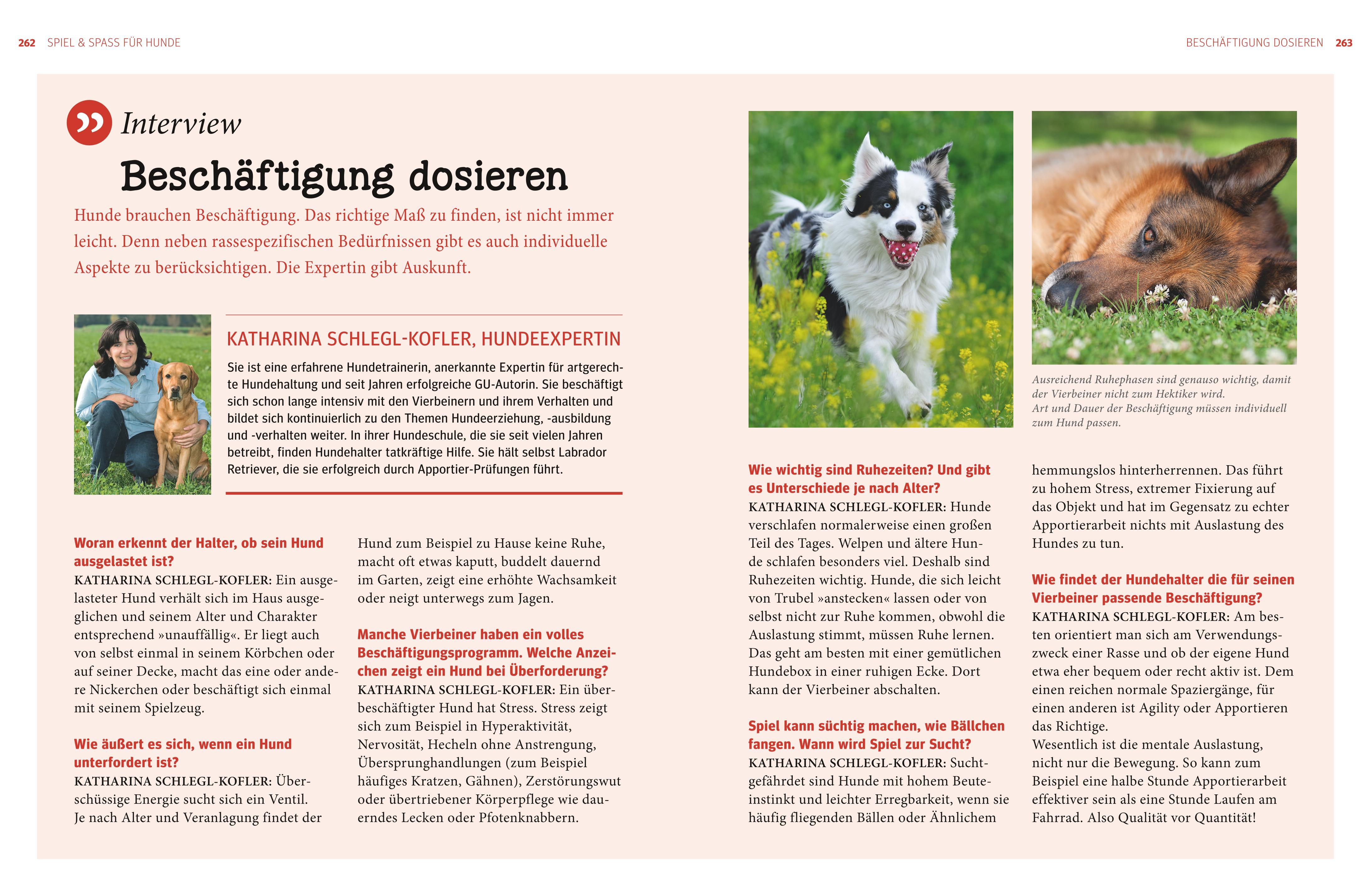 Beispielinhalt (Bild) Praxishandbuch Hunde
