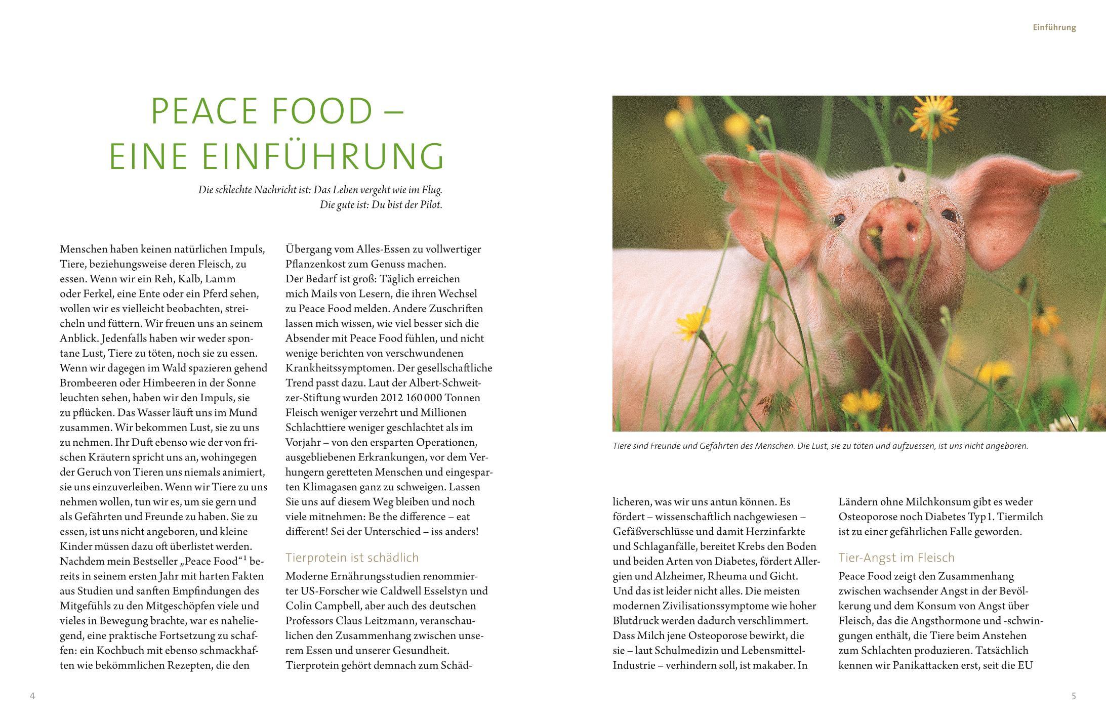 Beispielinhalt (Bild) Peace Food - Das vegane Kochbuch