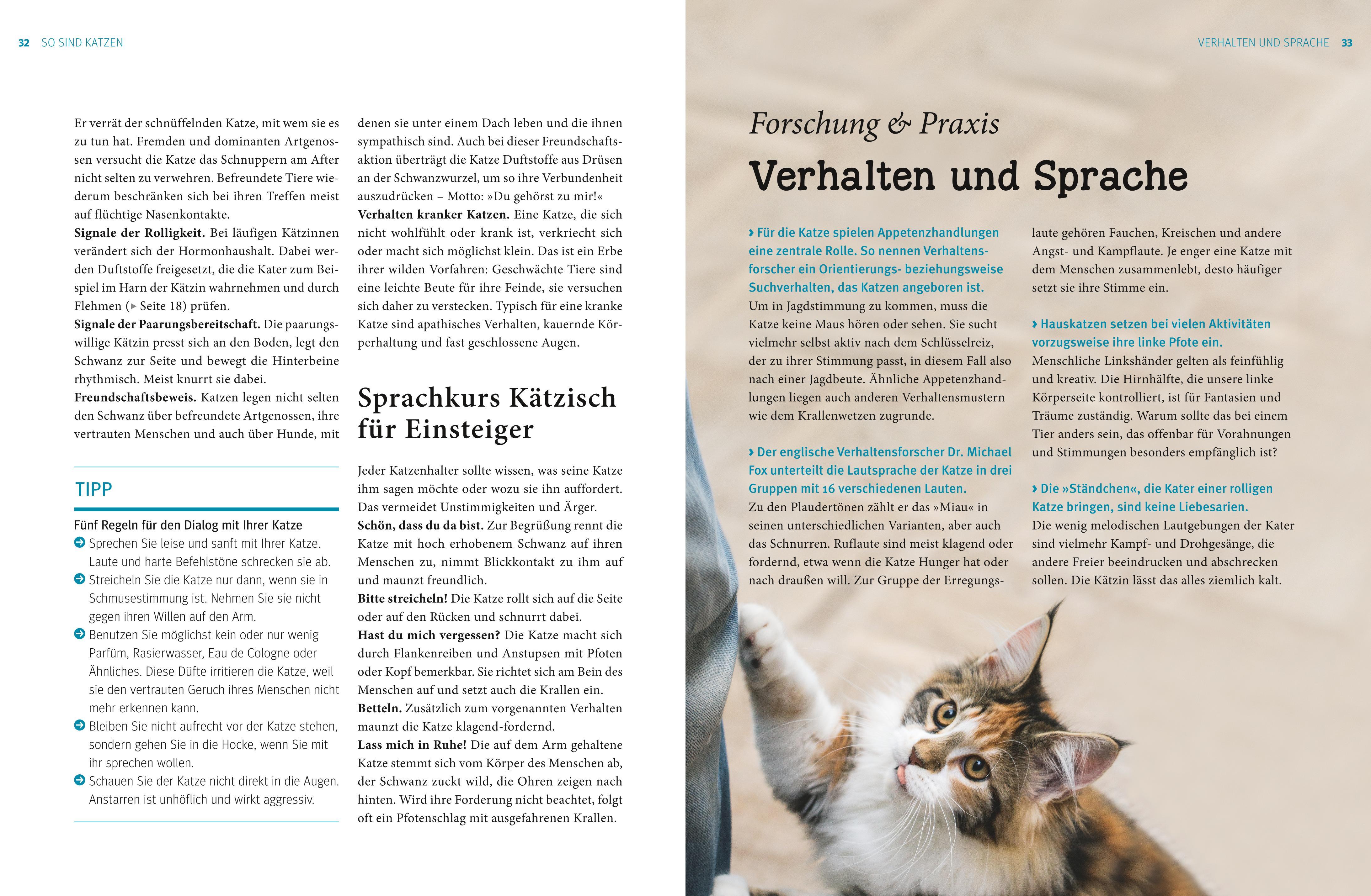 Beispielinhalt (Bild) Katzen. Das große Praxishandbuch