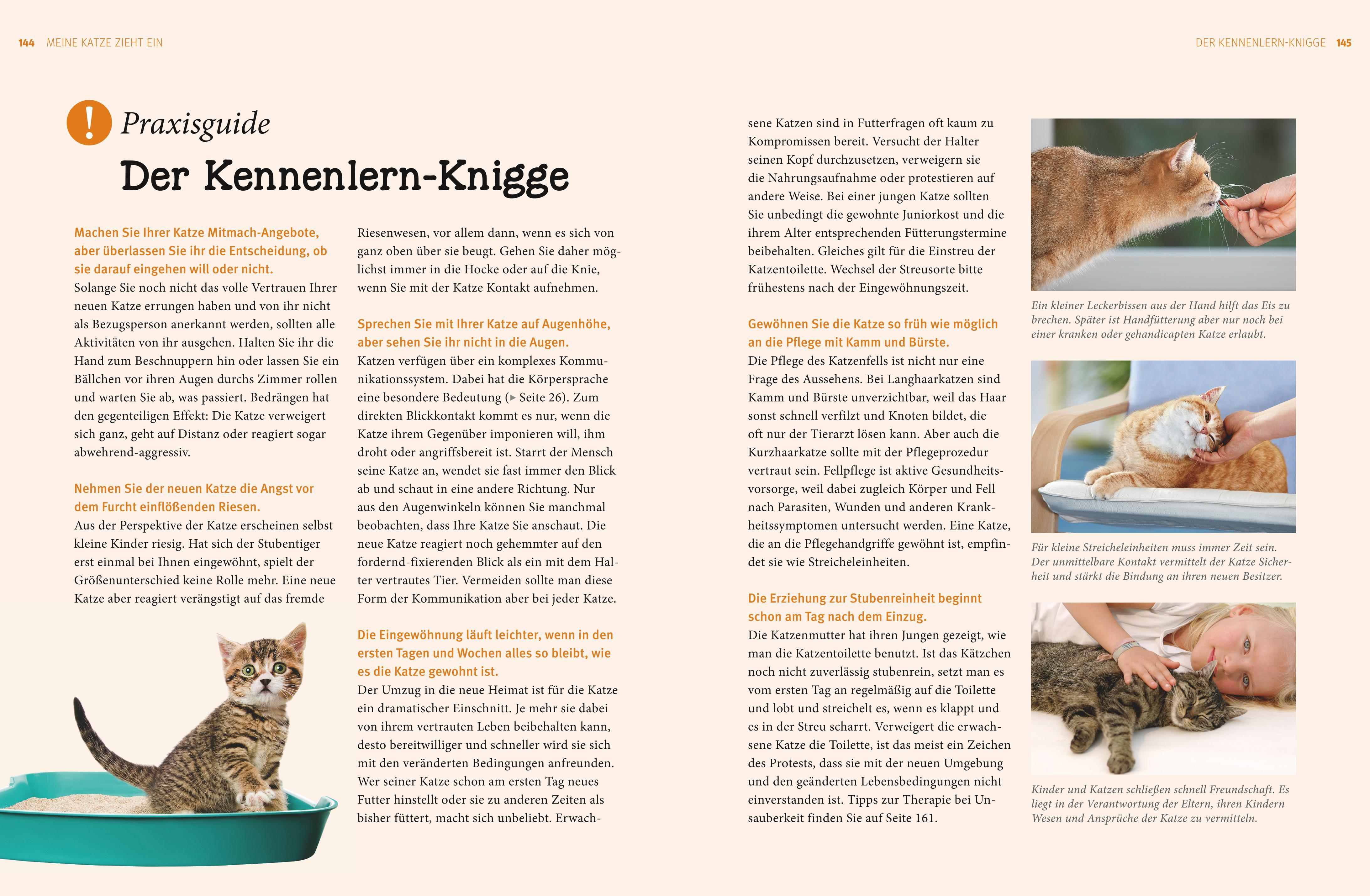 Beispielinhalt (Bild) Katzen. Das große Praxishandbuch