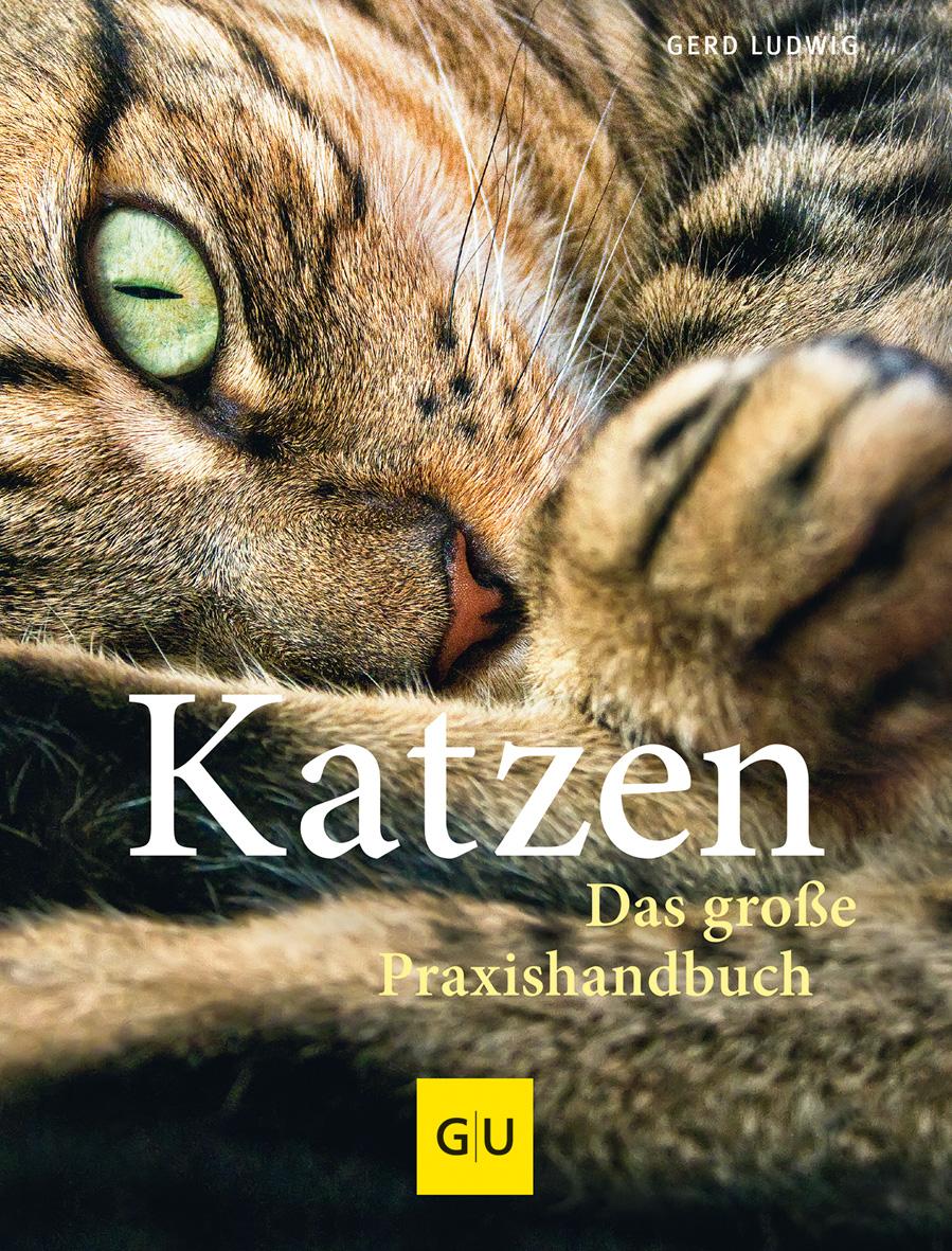 Vorderes Coverbild Katzen. Das große Praxishandbuch