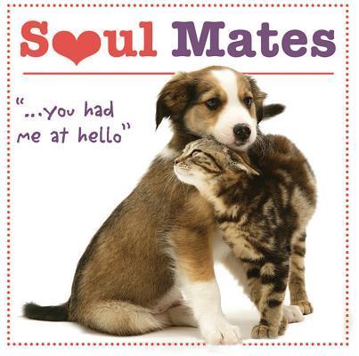 Vorderes Coverbild Soul Mates: You Had Me at Hello