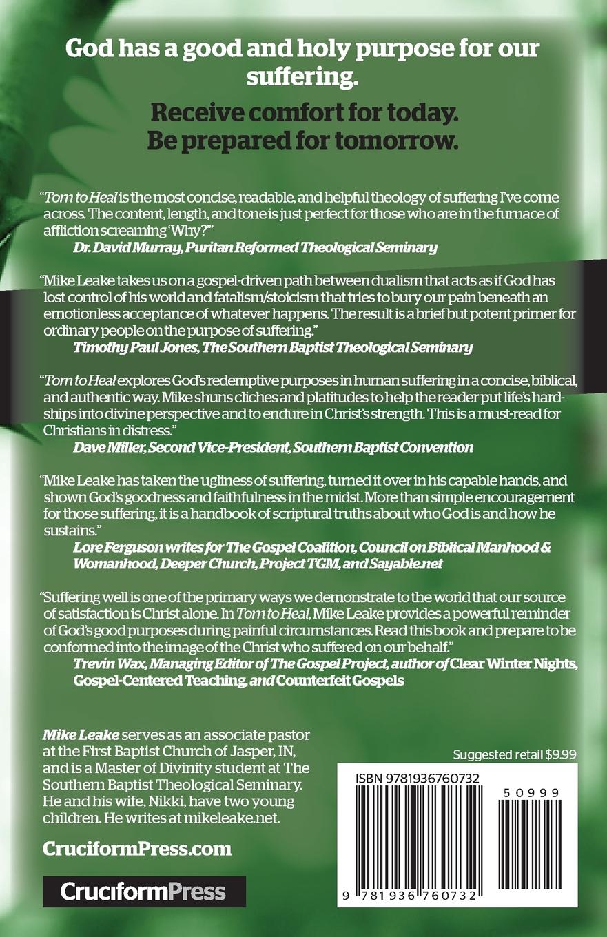 Rückseitencover Torn to Heal