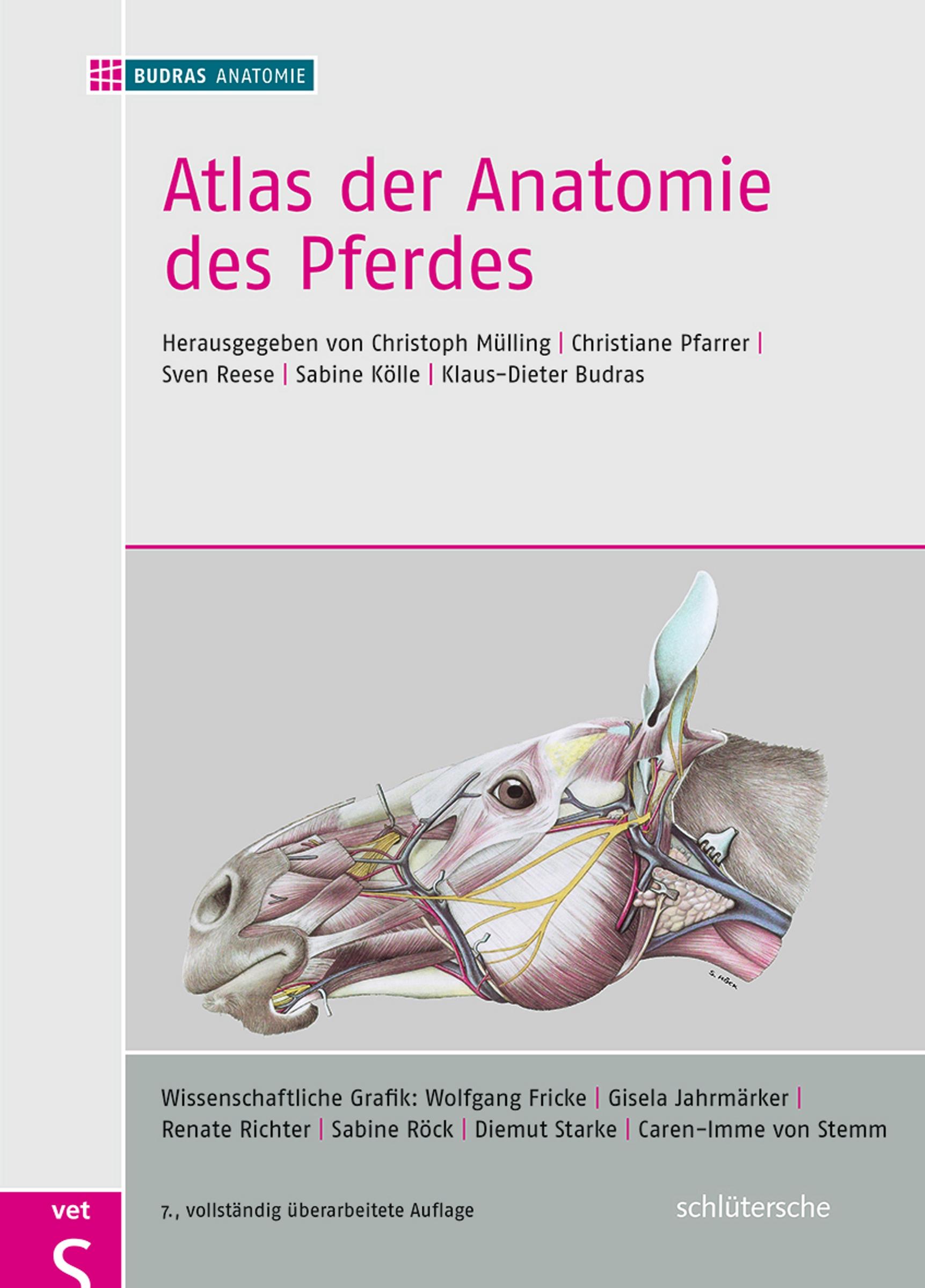 Vorderes Coverbild Atlas der Anatomie des Pferdes