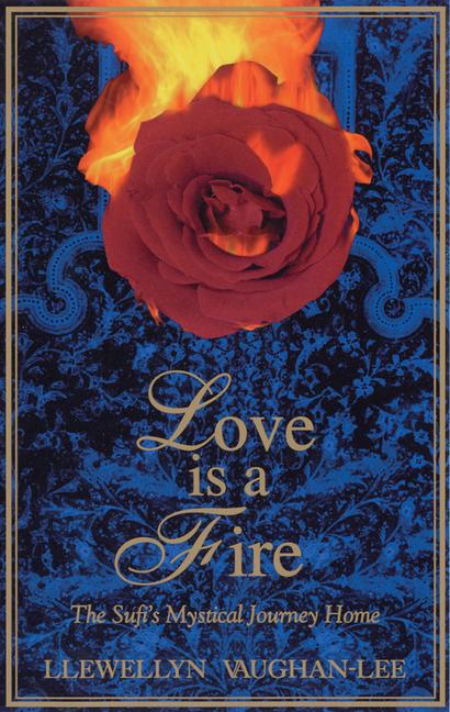 Vorderes Coverbild Love Is a Fire