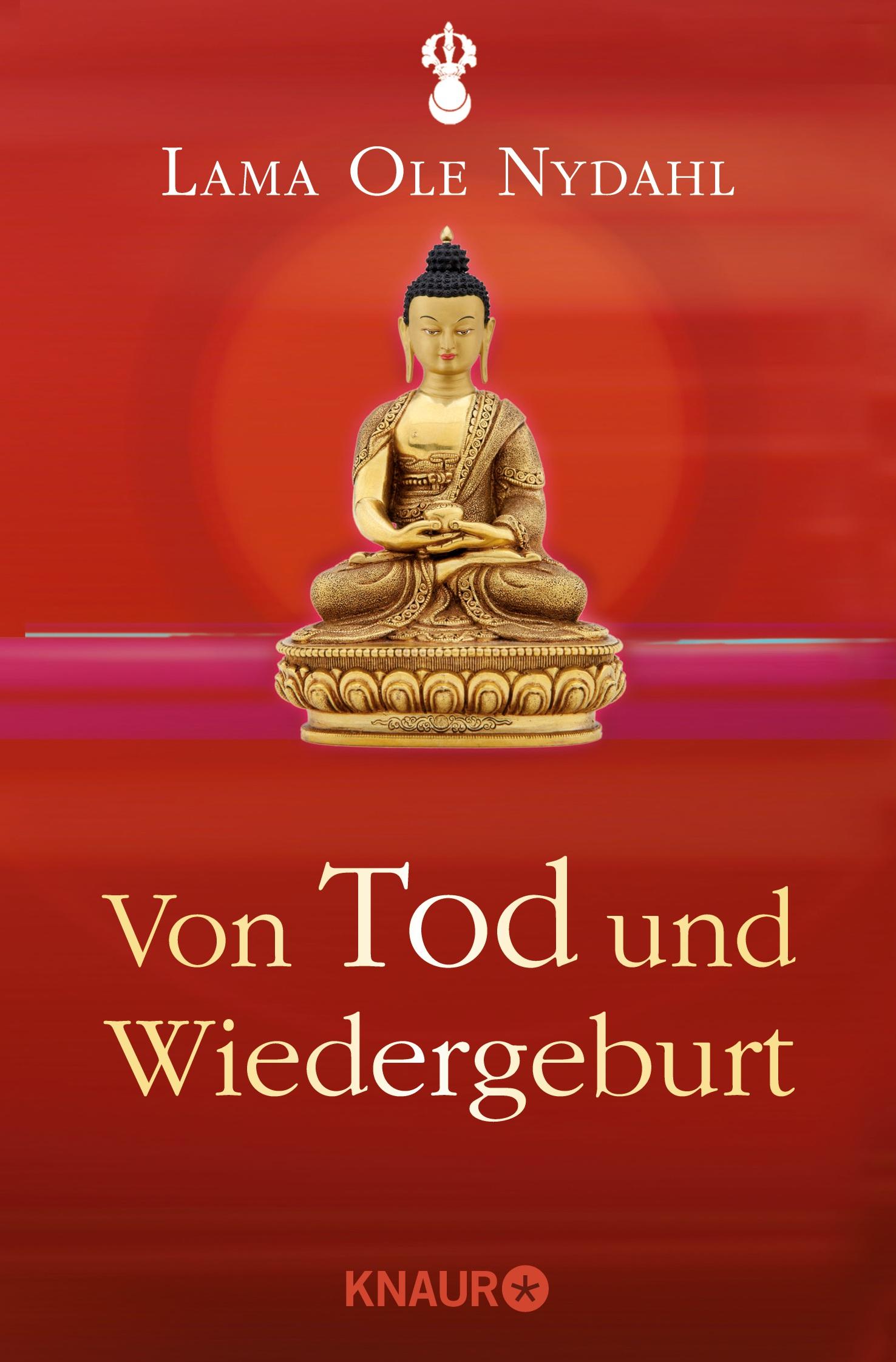 Vorderes Coverbild Von Tod und Wiedergeburt