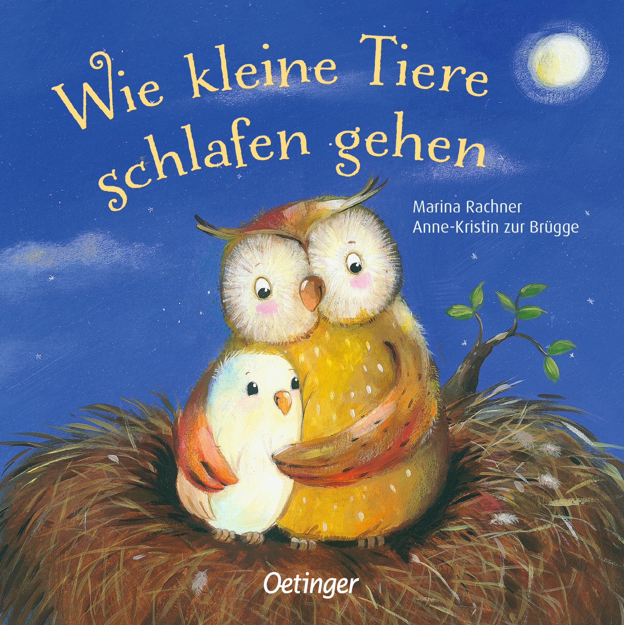 Vorderes Coverbild Wie kleine Tiere schlafen gehen