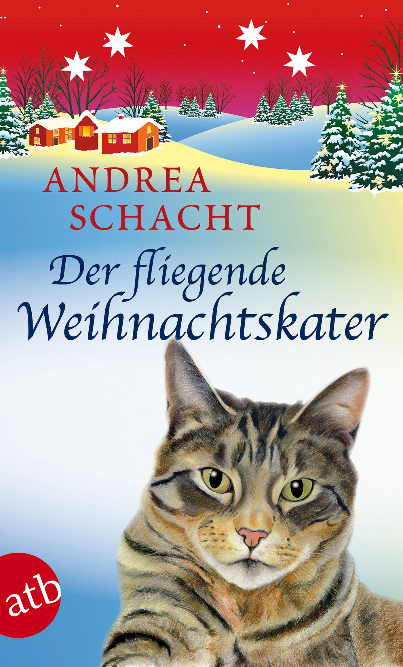 Vorderes Coverbild Der fliegende Weihnachtskater