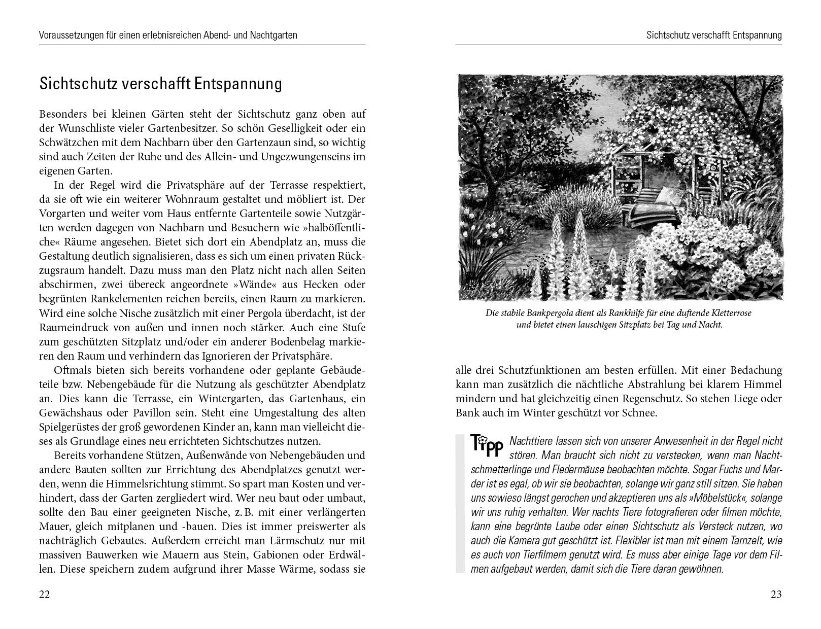 Beispielinhalt (Bild) Nachts in meinem Garten