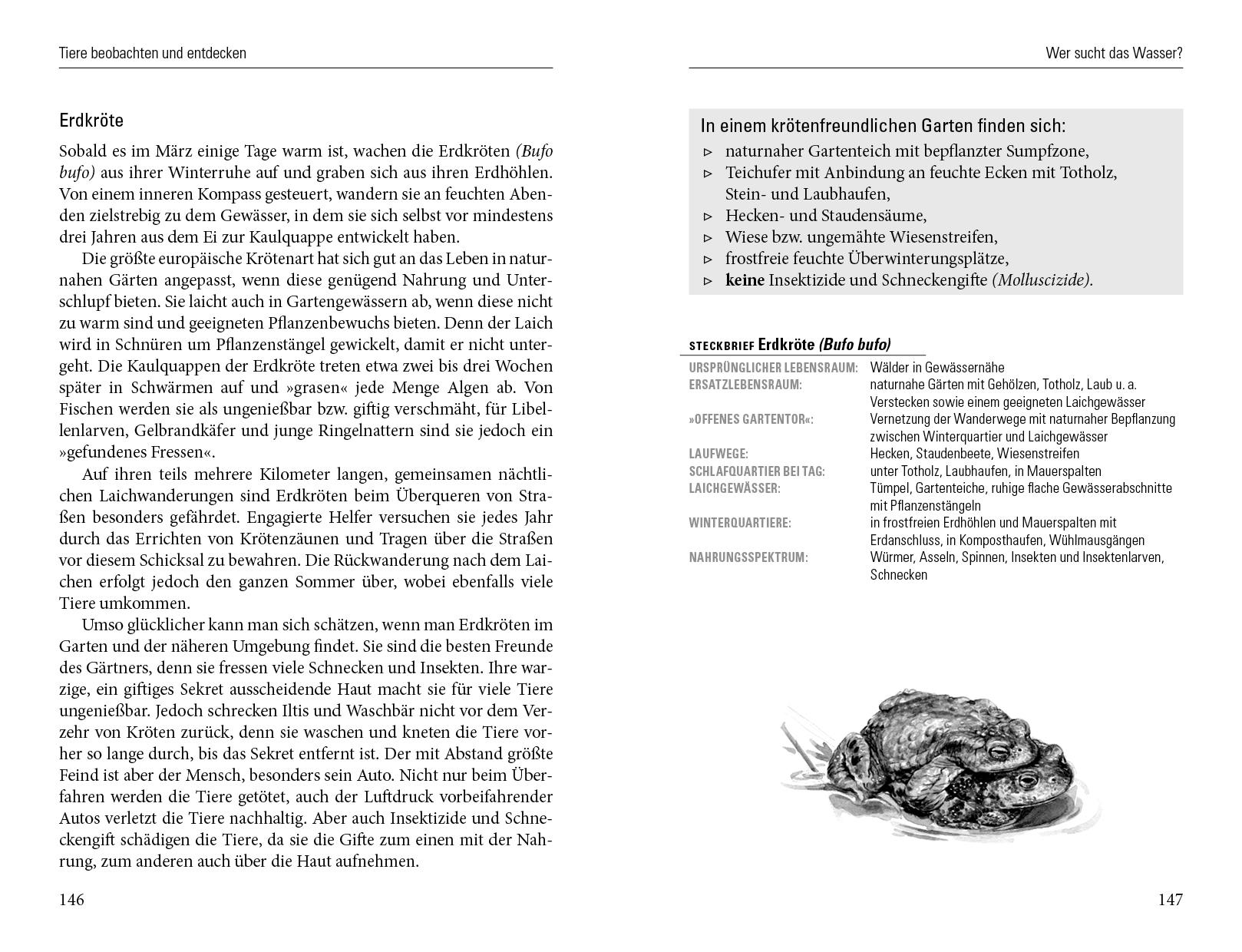 Beispielinhalt (Bild) Nachts in meinem Garten