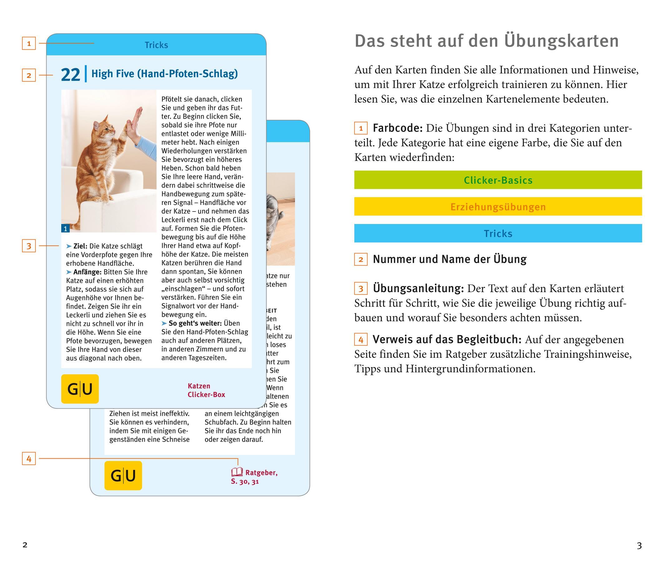 Beispielinhalt (Bild) Katzen-Clicker-Box