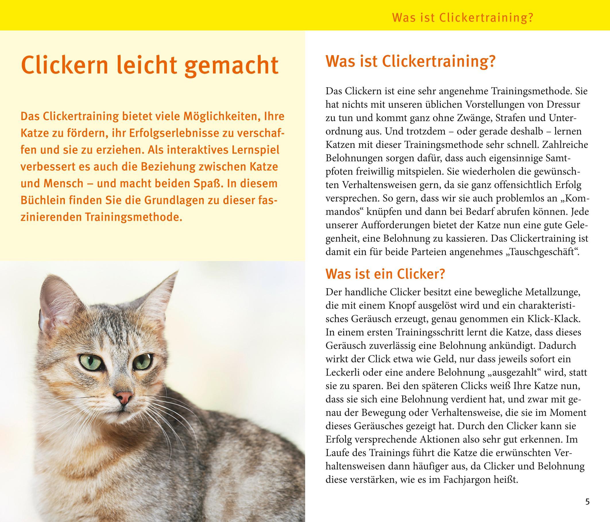 Beispielinhalt (Bild) Katzen-Clicker-Box