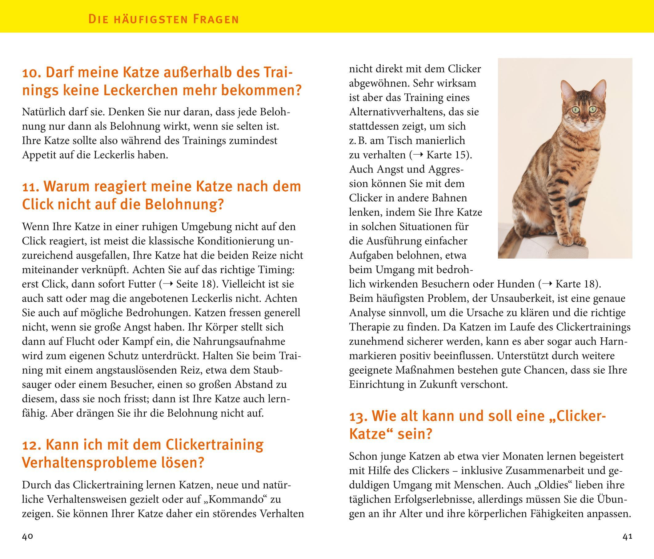 Beispielinhalt (Bild) Katzen-Clicker-Box