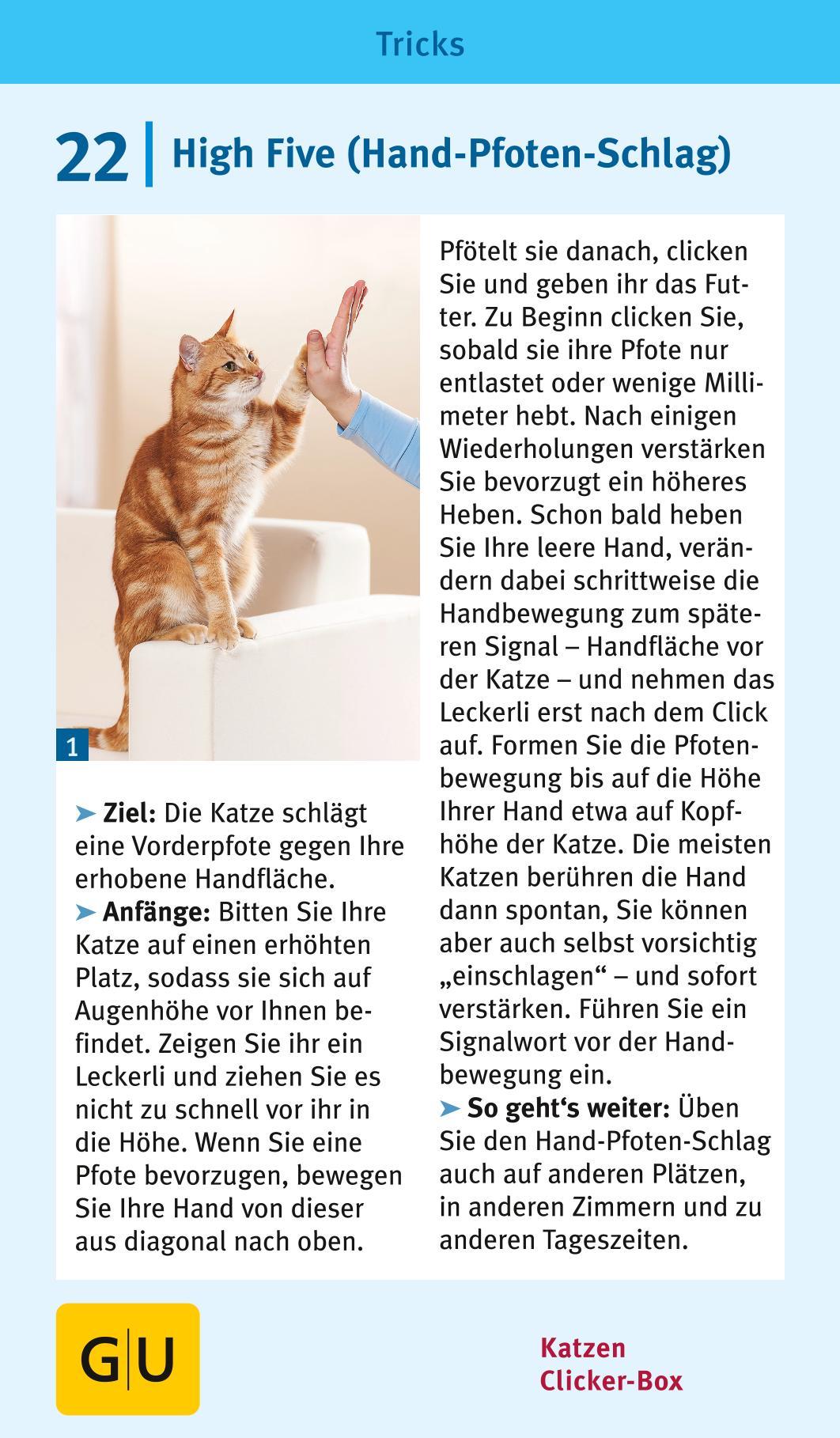 Beispielinhalt (Bild) Katzen-Clicker-Box