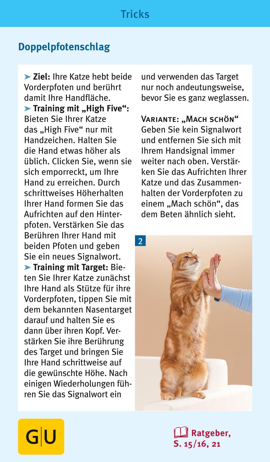 Beispielinhalt (Bild) Katzen-Clicker-Box