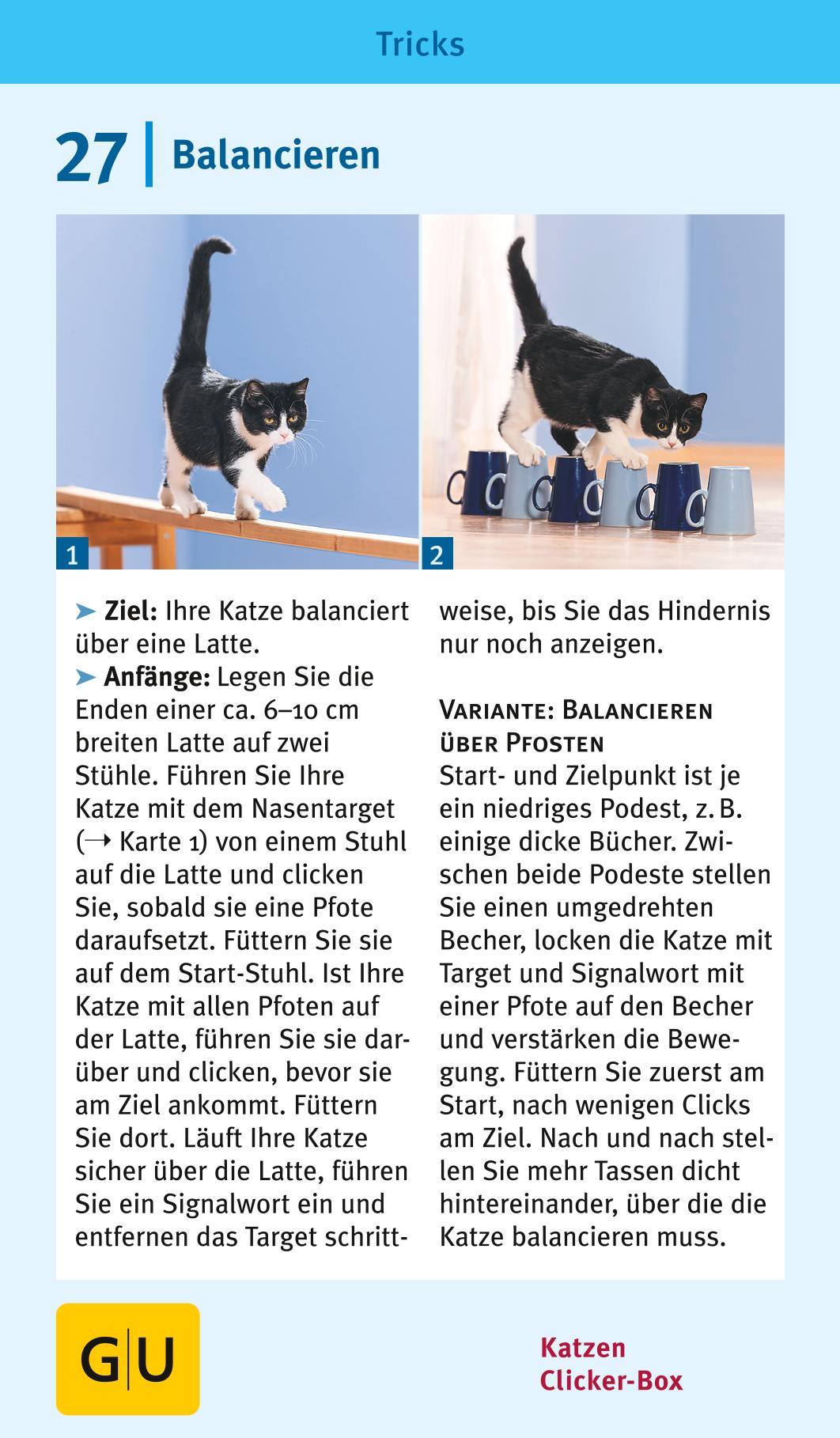 Beispielinhalt (Bild) Katzen-Clicker-Box