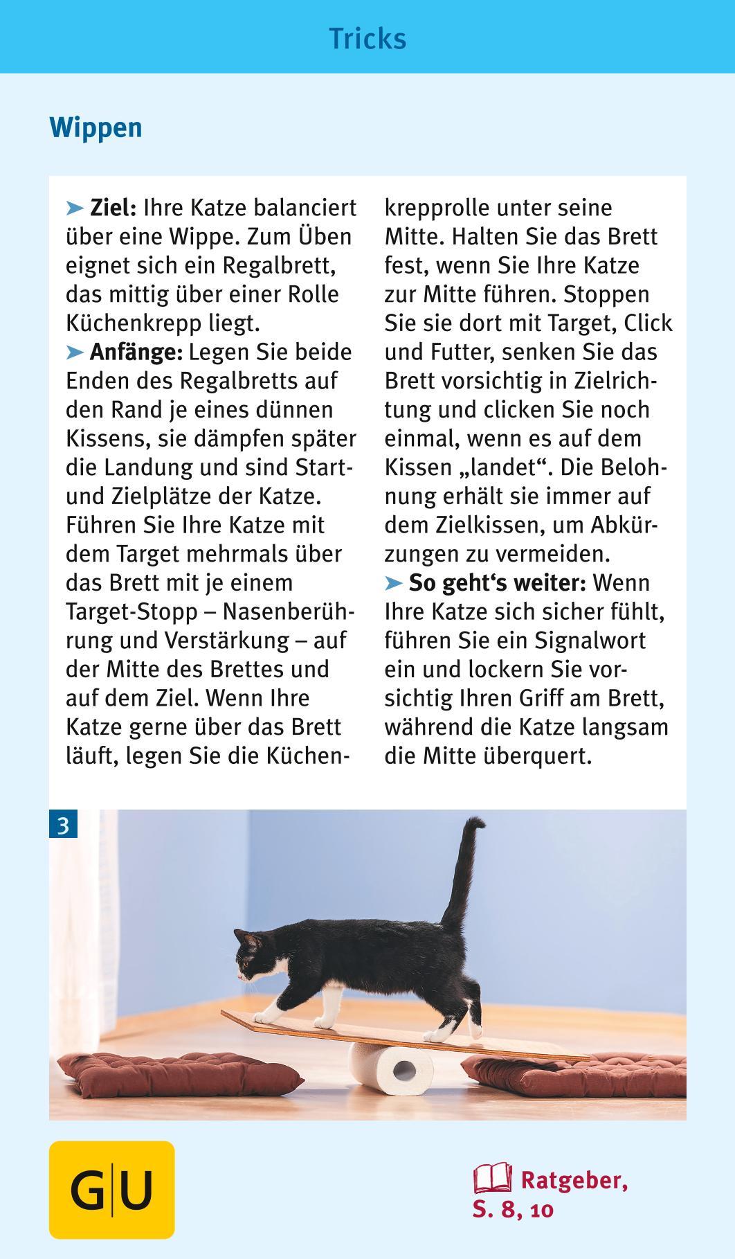 Beispielinhalt (Bild) Katzen-Clicker-Box