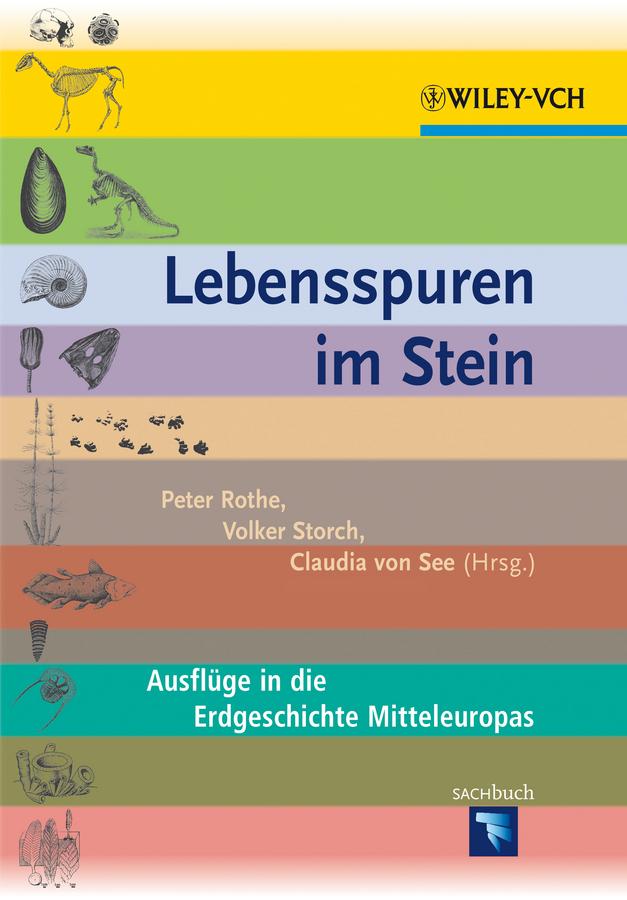 Vorderes Coverbild Lebensspuren im Stein