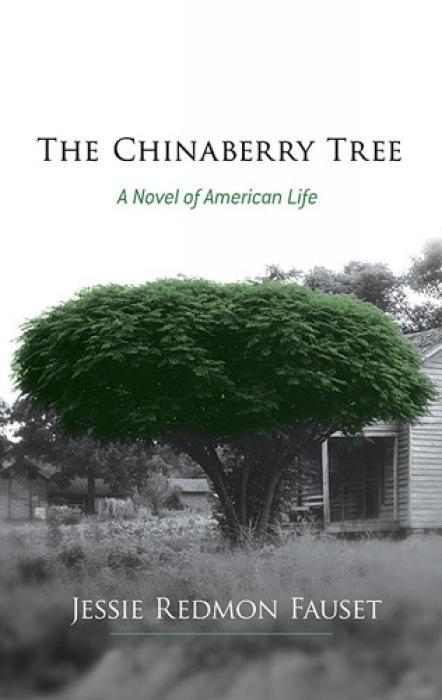 Vorderes Coverbild The Chinaberry Tree