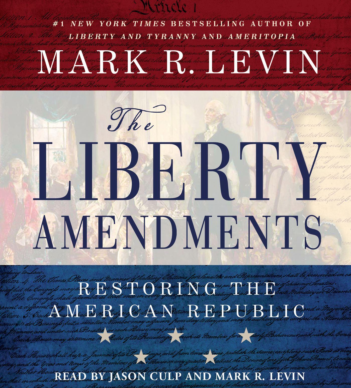 Vorderes Coverbild Liberty Amendments