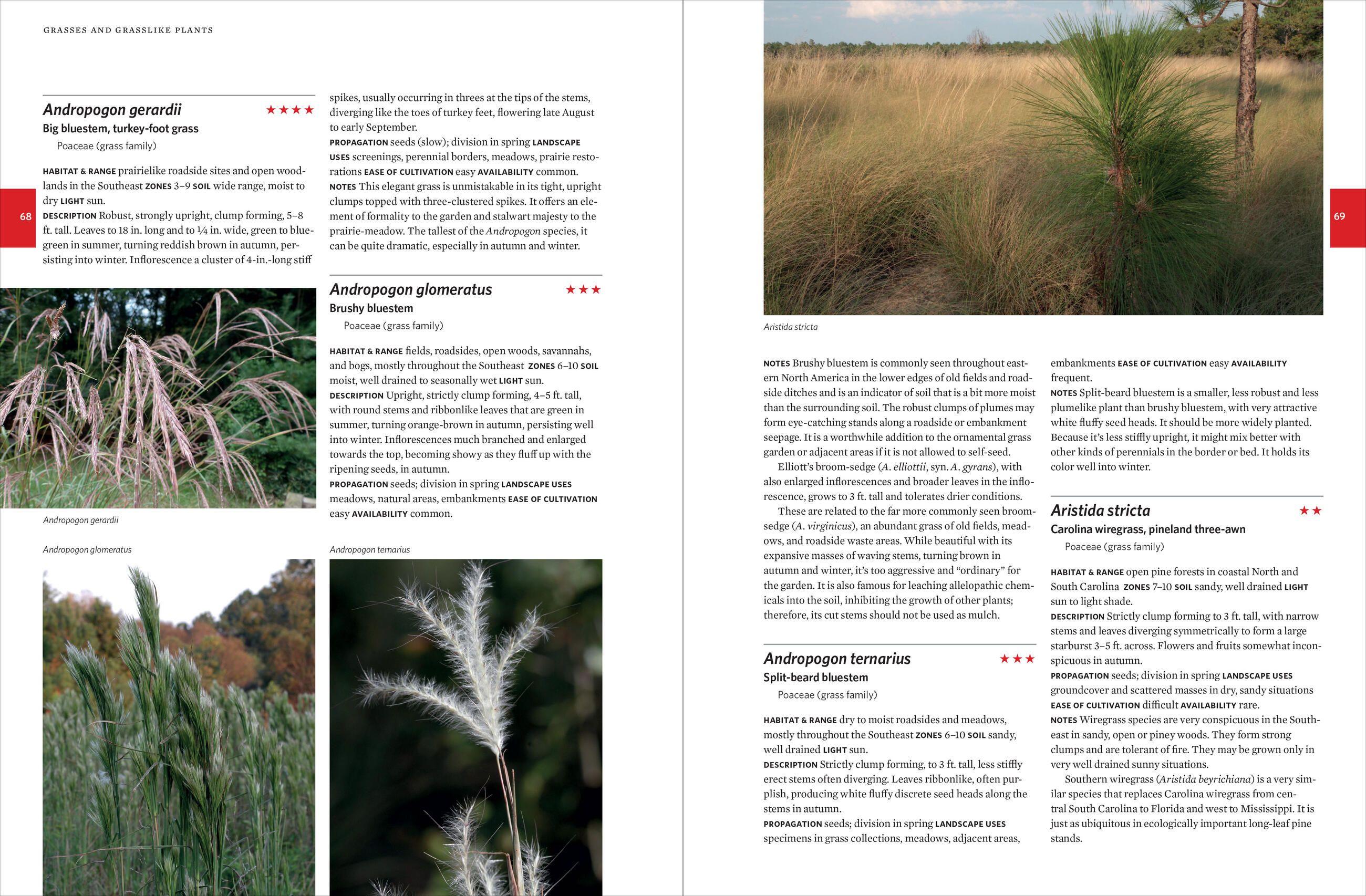 Beispielinhalt (Bild) Native Plants of the Southeast