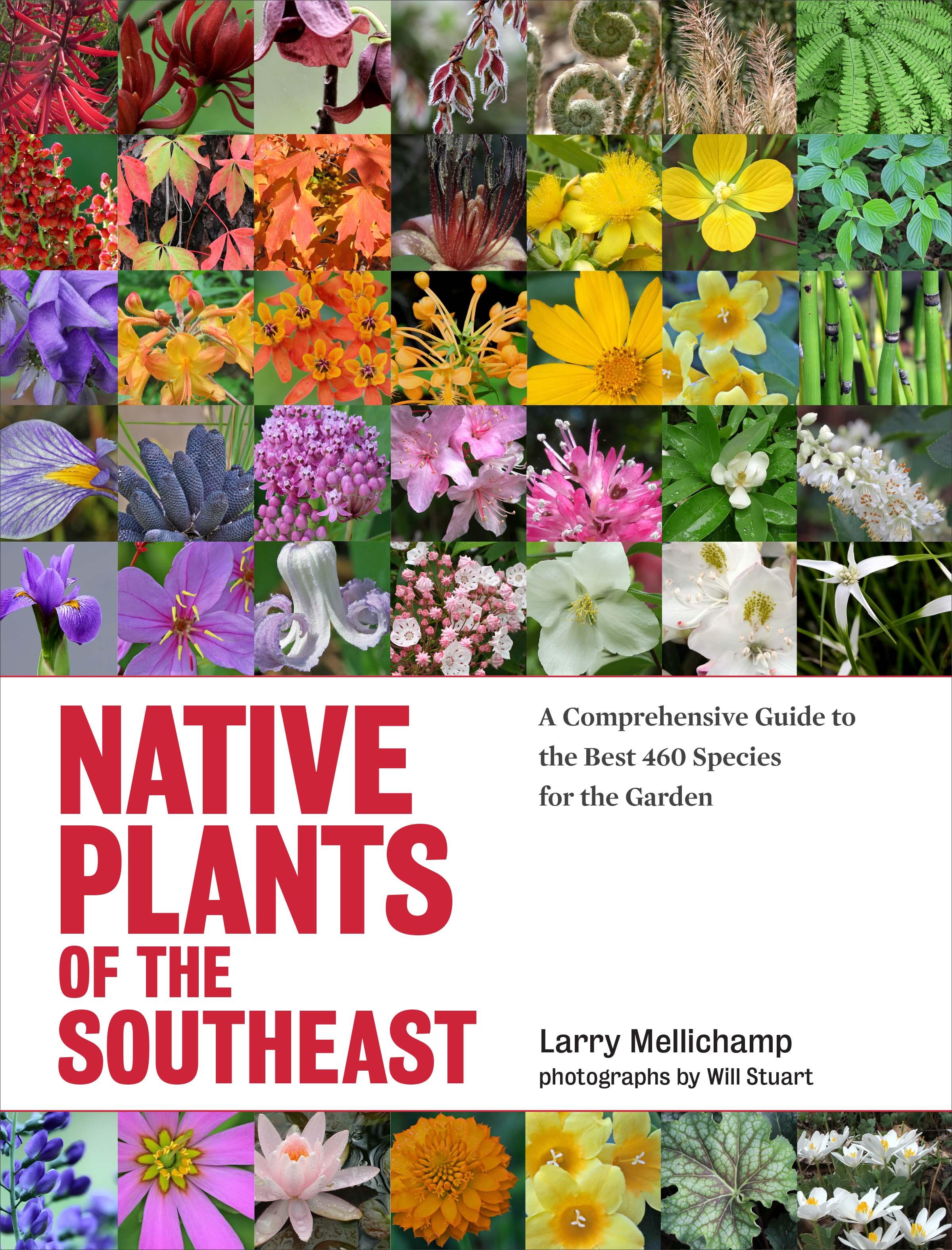 Vorderes Coverbild Native Plants of the Southeast