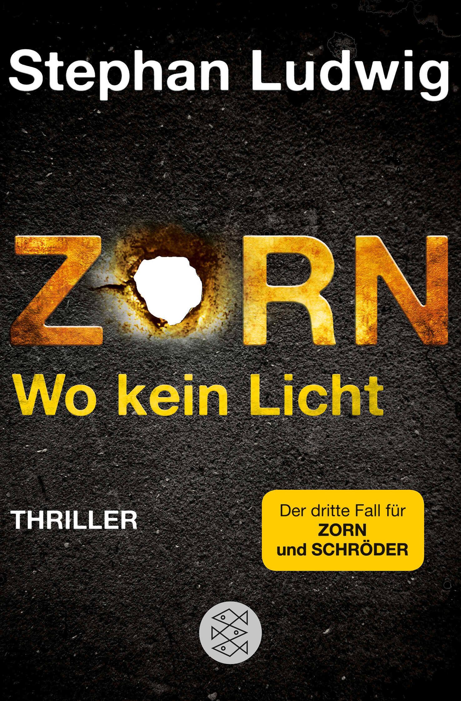 Vorderes Coverbild Zorn - Wo kein Licht