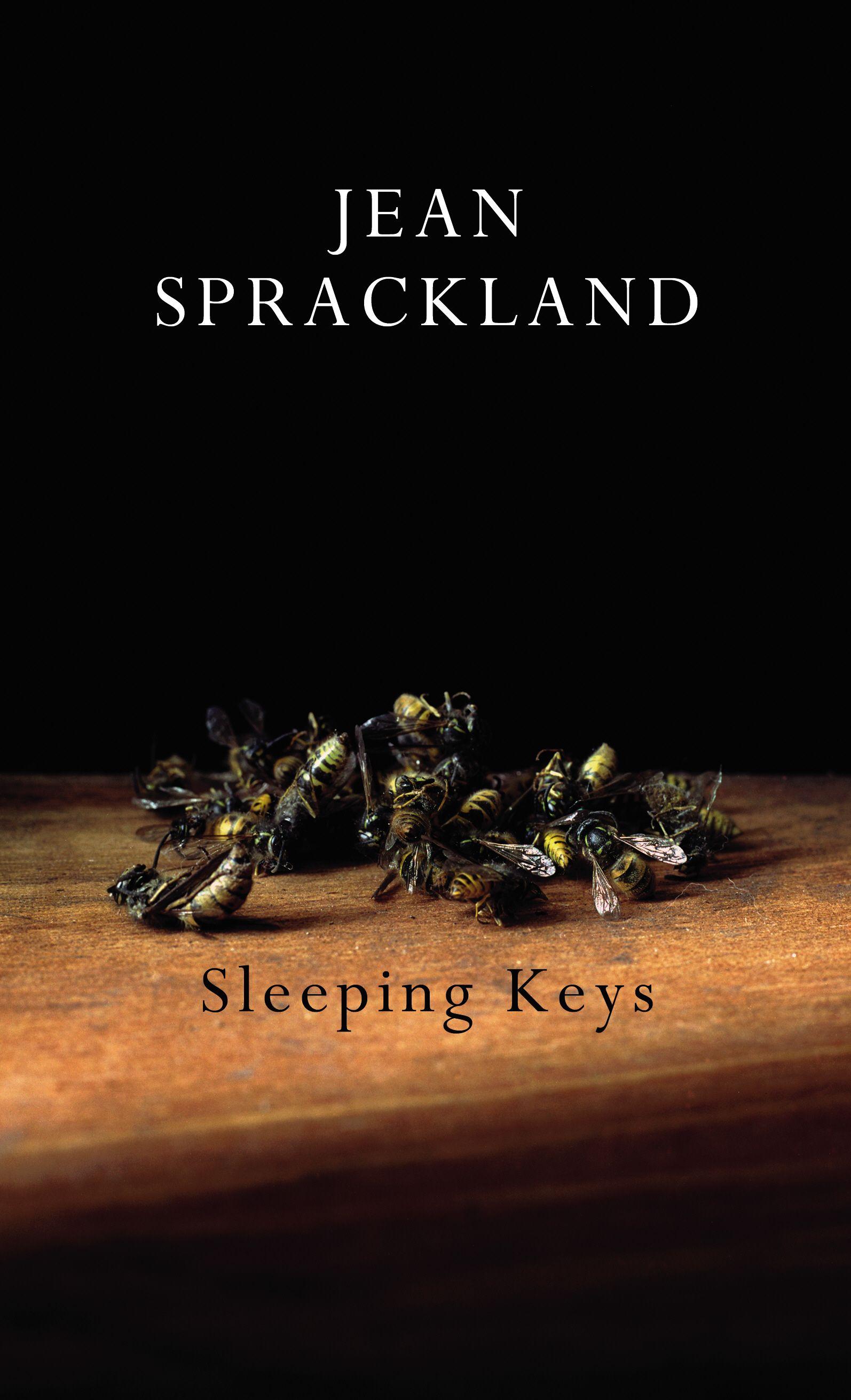 Vorderes Coverbild Sleeping Keys