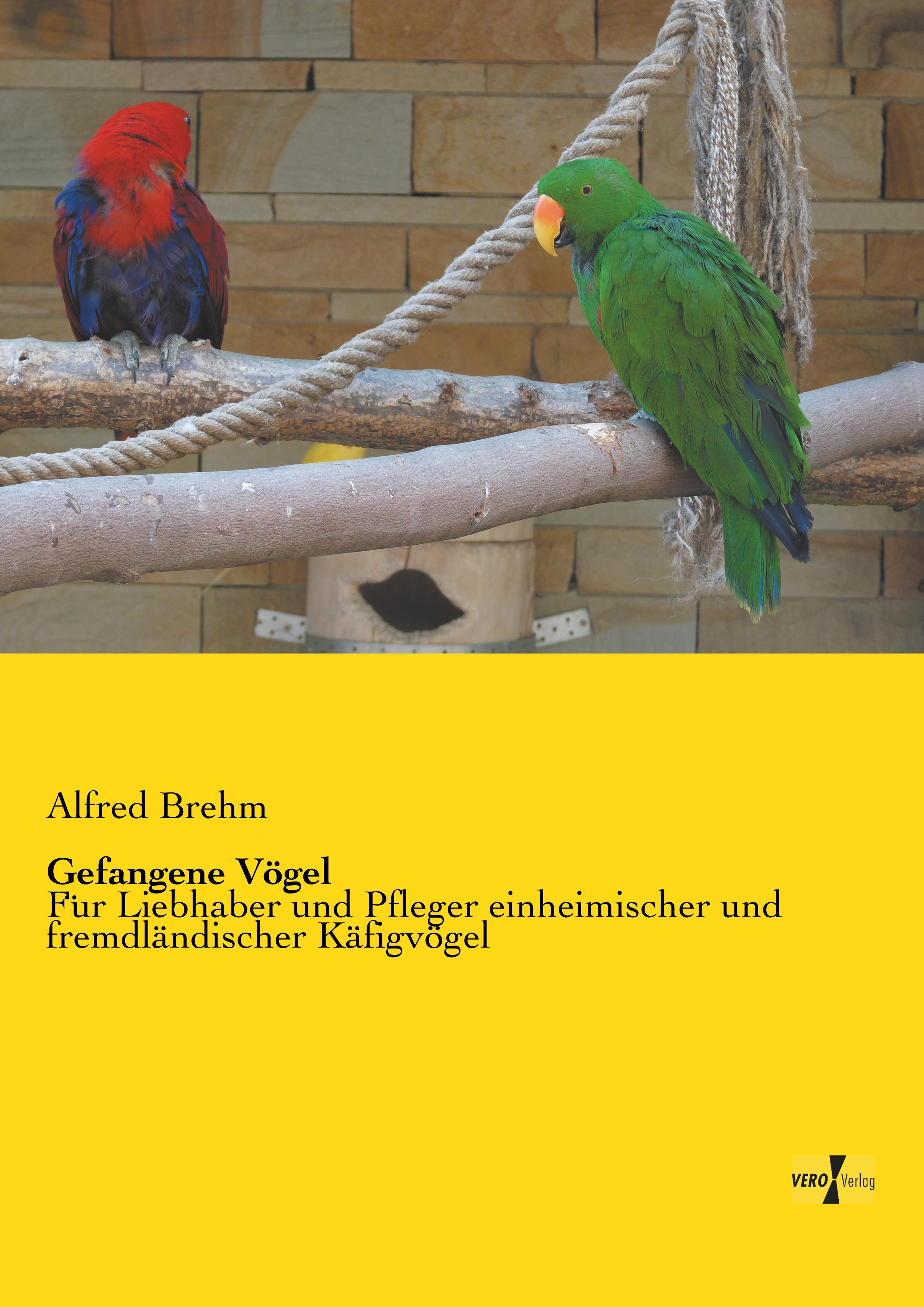 Vorderes Coverbild Gefangene Vögel