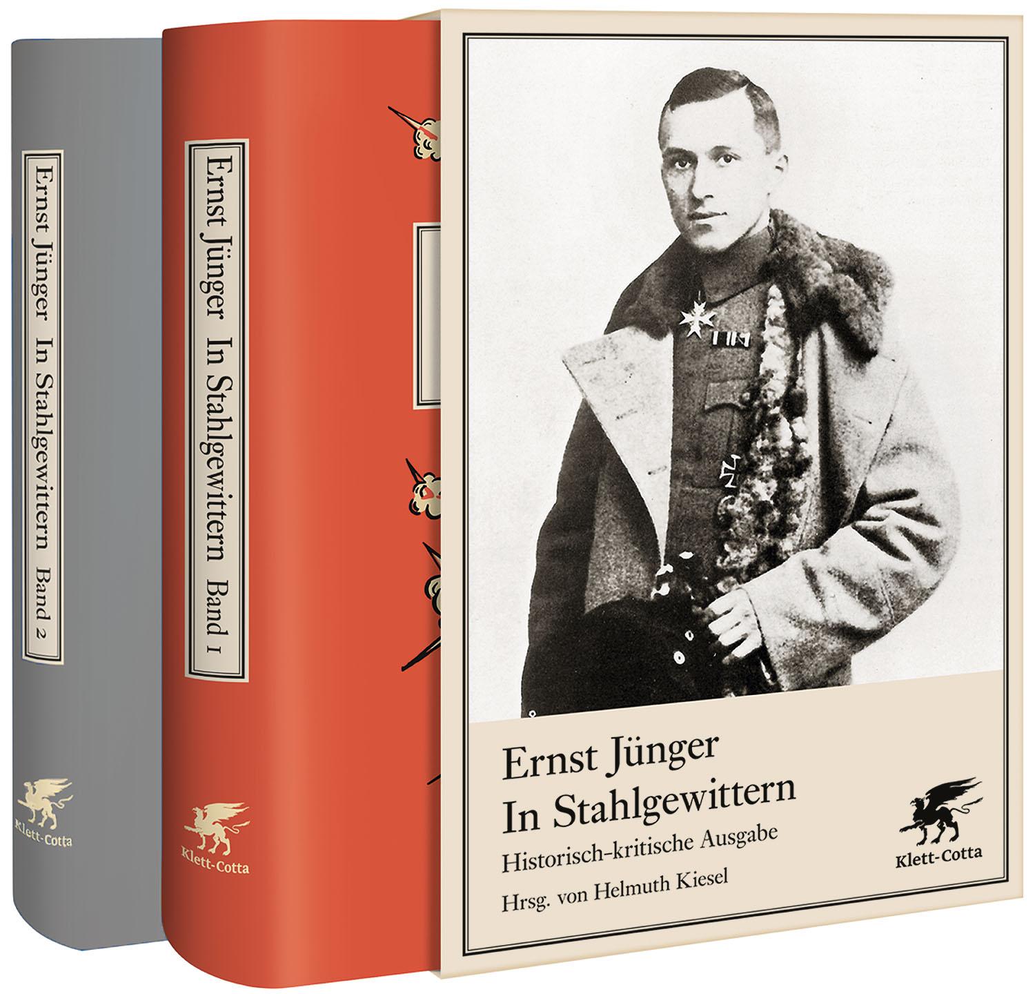 Vorderes Coverbild In Stahlgewittern
