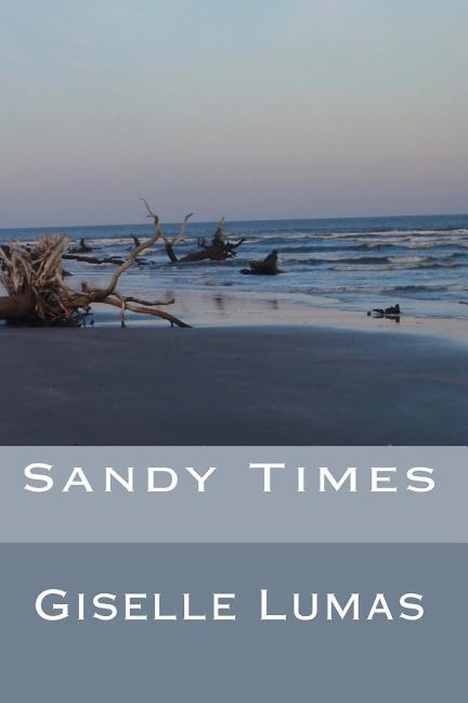 Vorderes Coverbild Sandy Times