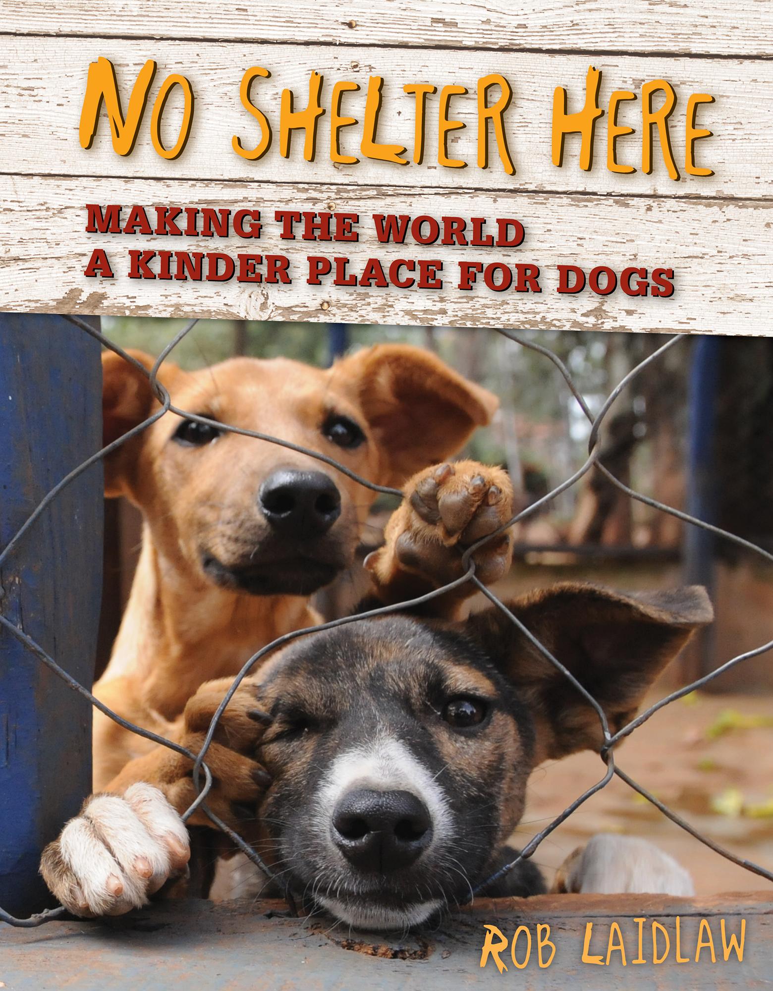 Vorderes Coverbild No Shelter Here