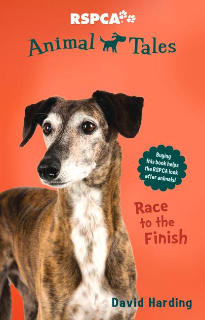 Vorderes Coverbild Race to the Finish