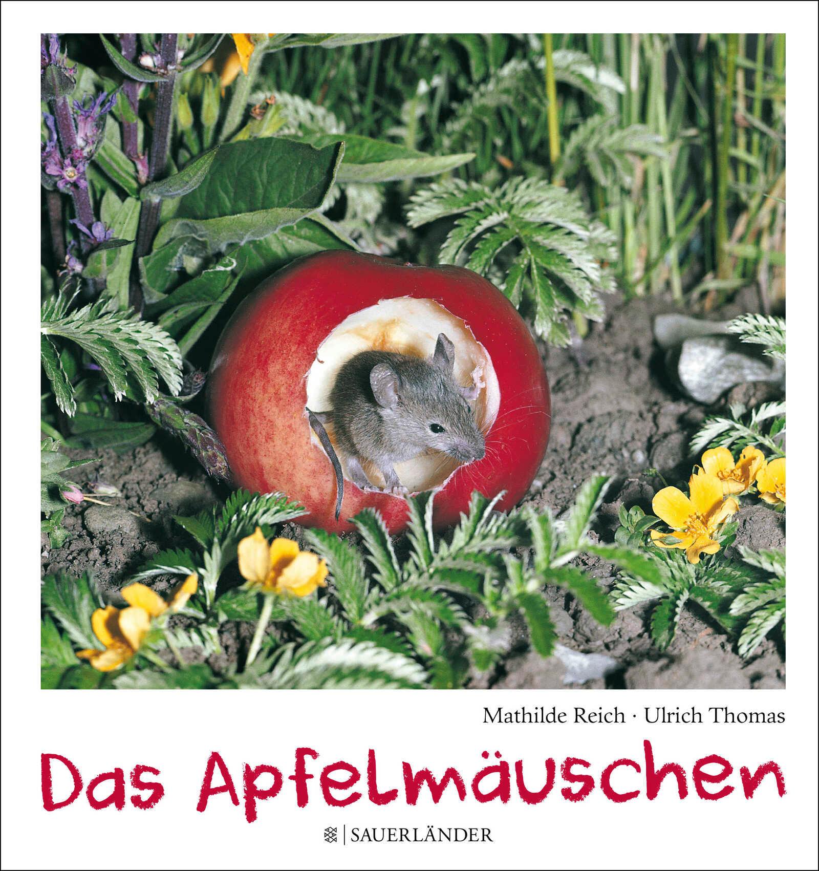 Vorderes Coverbild Das Apfelmäuschen
