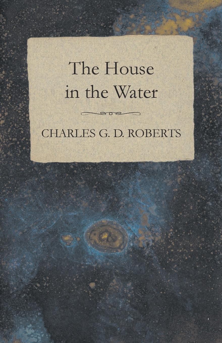 Vorderes Coverbild The House in the Water