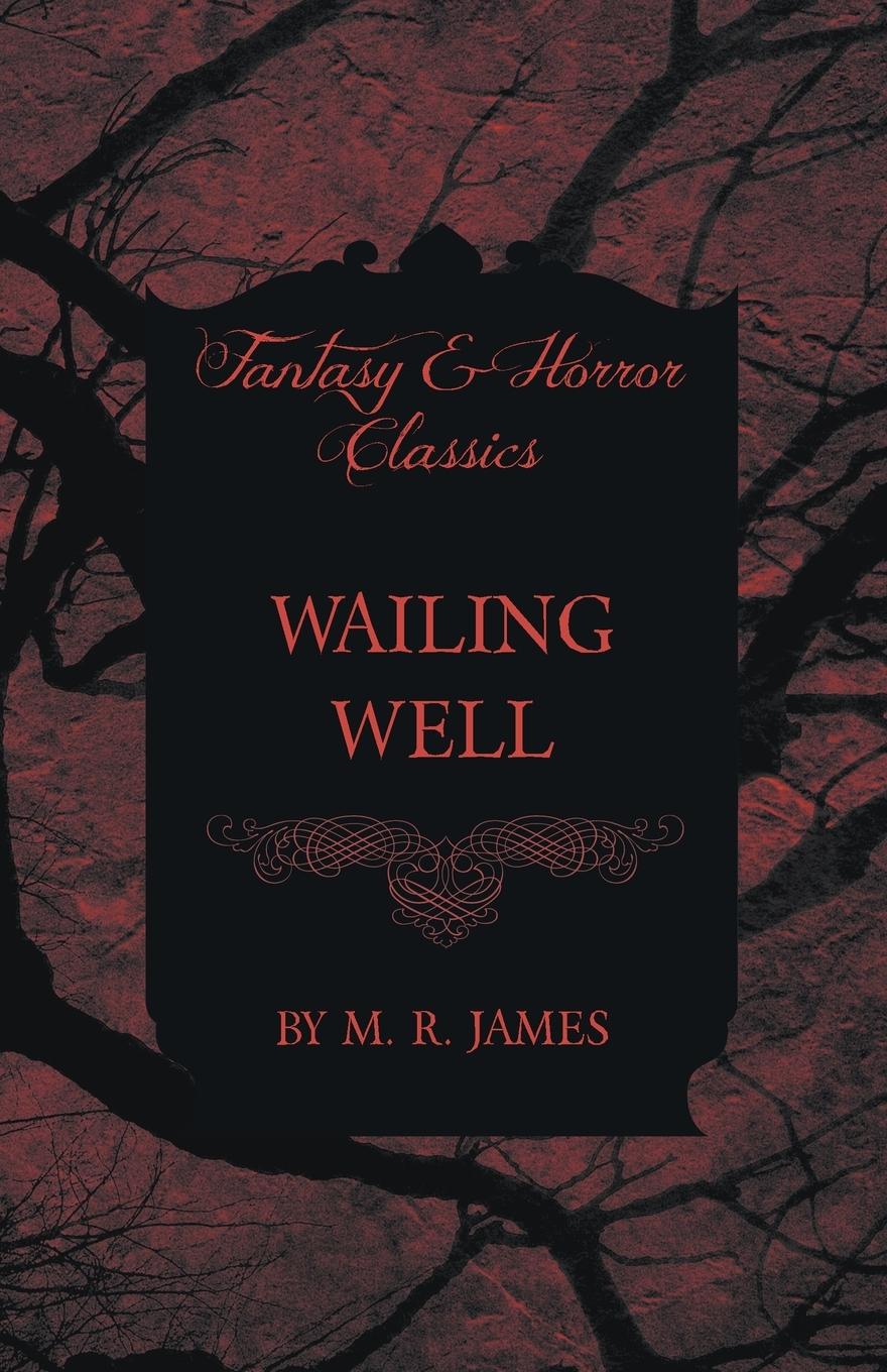 Vorderes Coverbild Wailing Well (Fantasy and Horror Classics)