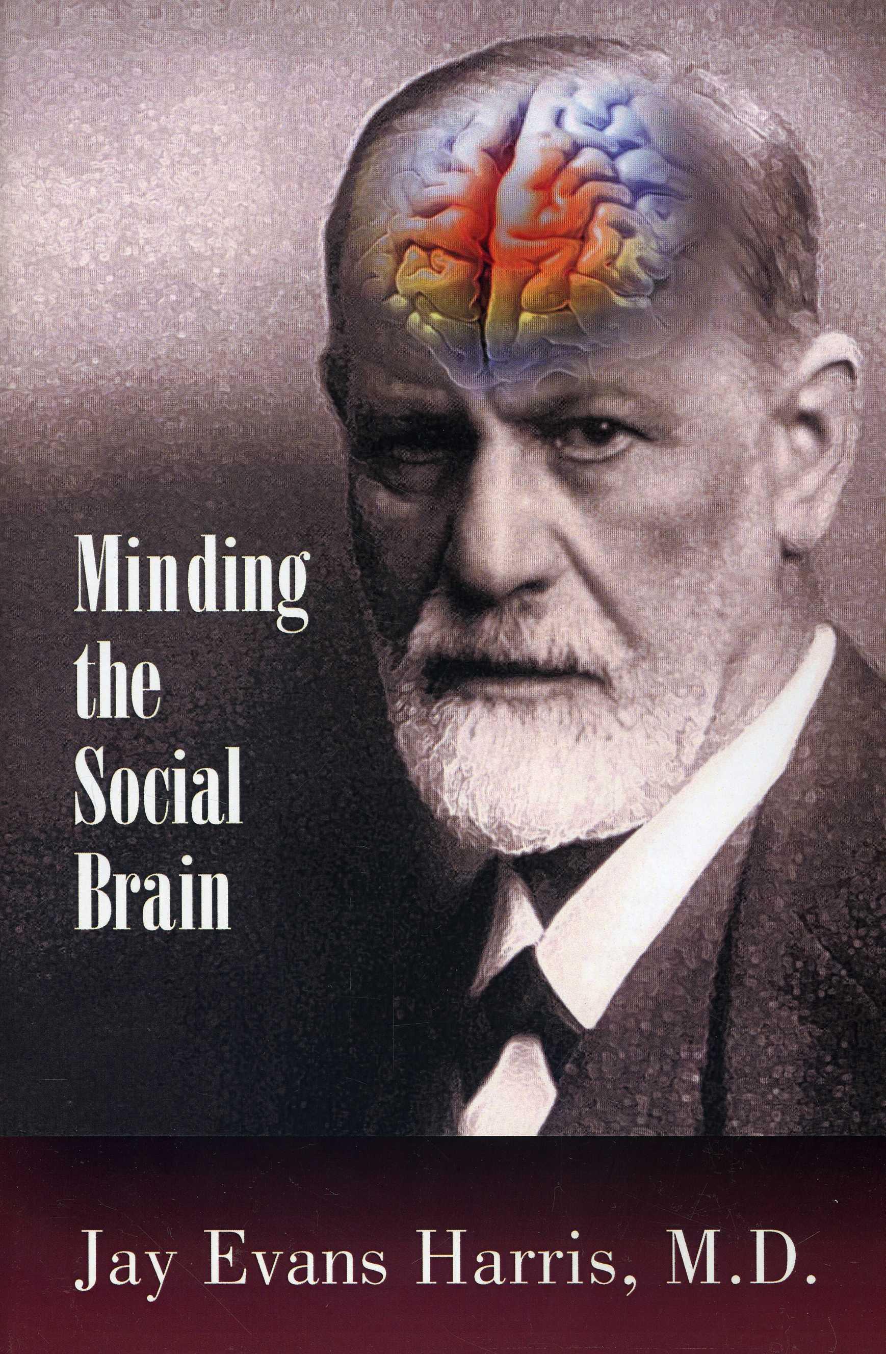 Vorderes Coverbild Minding the Social Brain