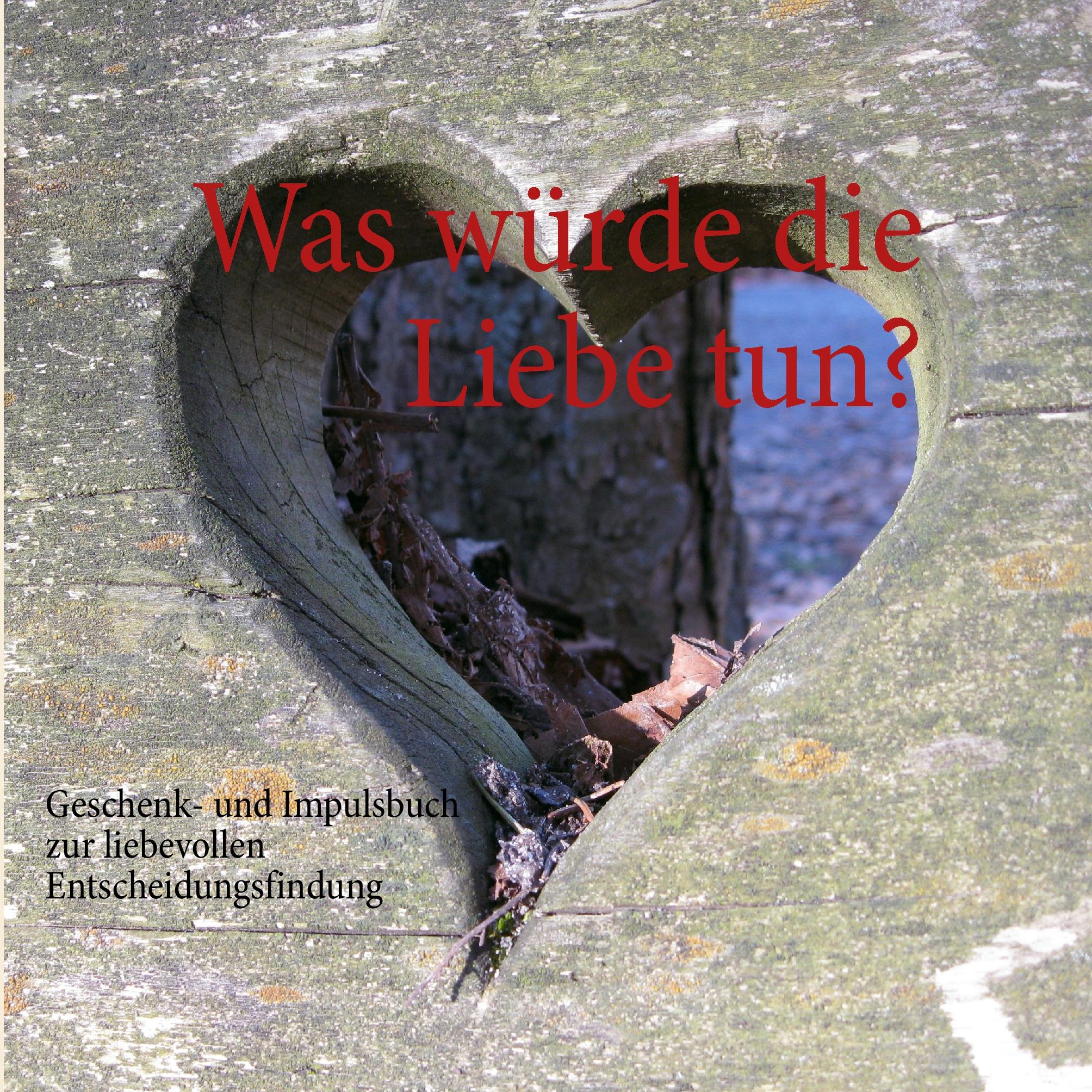 Vorderes Coverbild Was würde die Liebe tun?