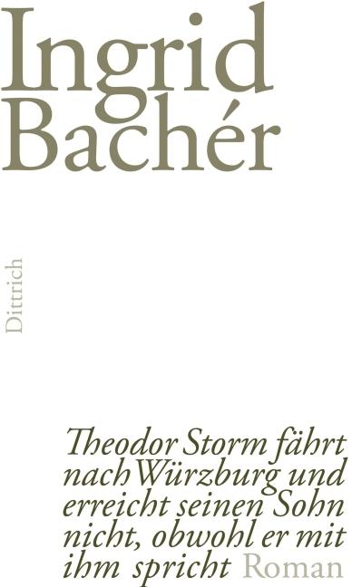 Vorderes Coverbild Theodor Storm fährt nach Würzburg und erreicht seinen Sohn nicht, obwohl er mit ihm spricht
