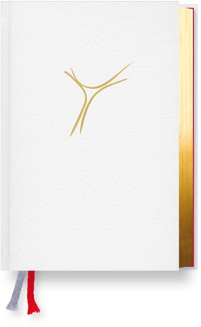 Vorderes Coverbild Gotteslob Bistum Passau - Cabra weiß, Goldschnitt